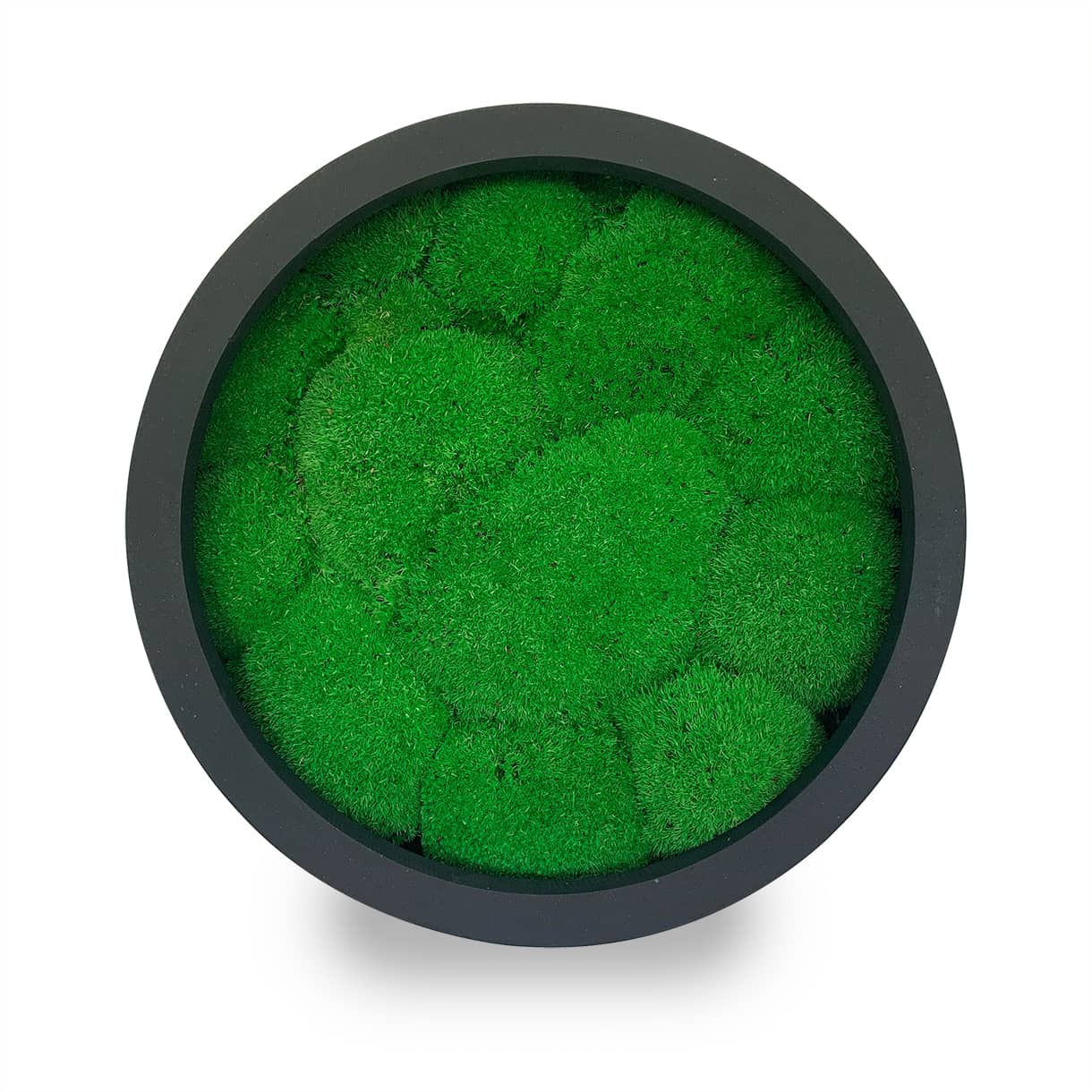 Tableau végétal naturel stabilisé rond Sphere 40