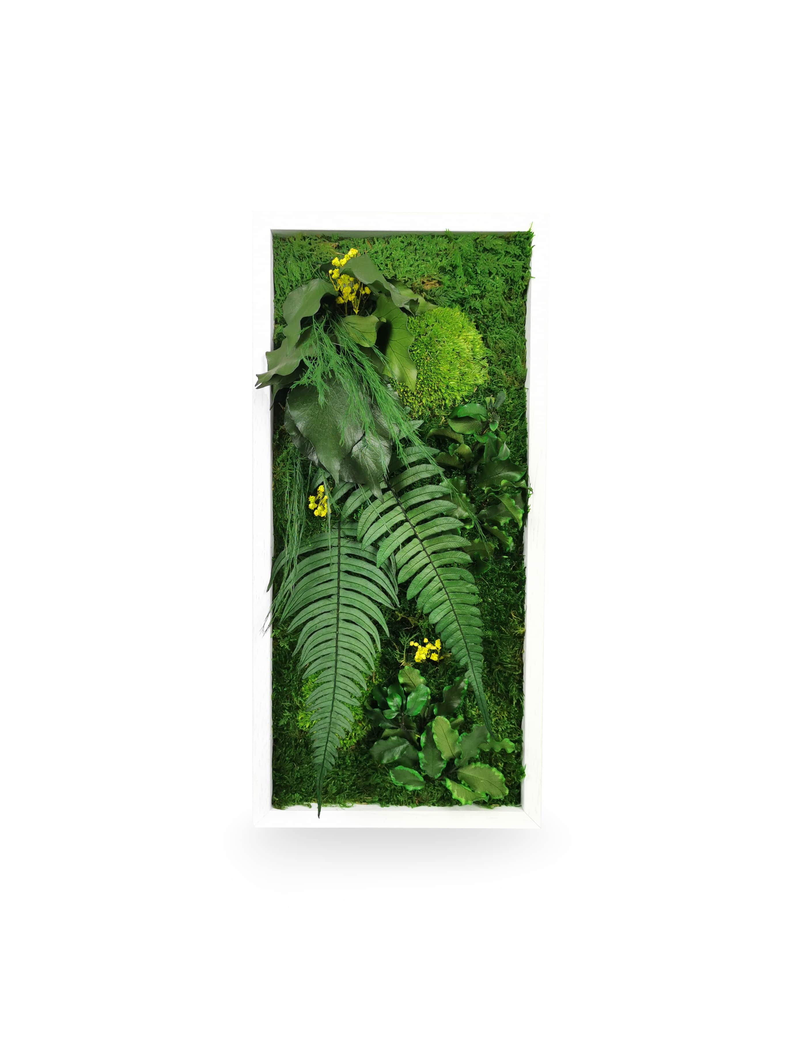 Tableau végétal naturel stabilisé Elegance 18x38
