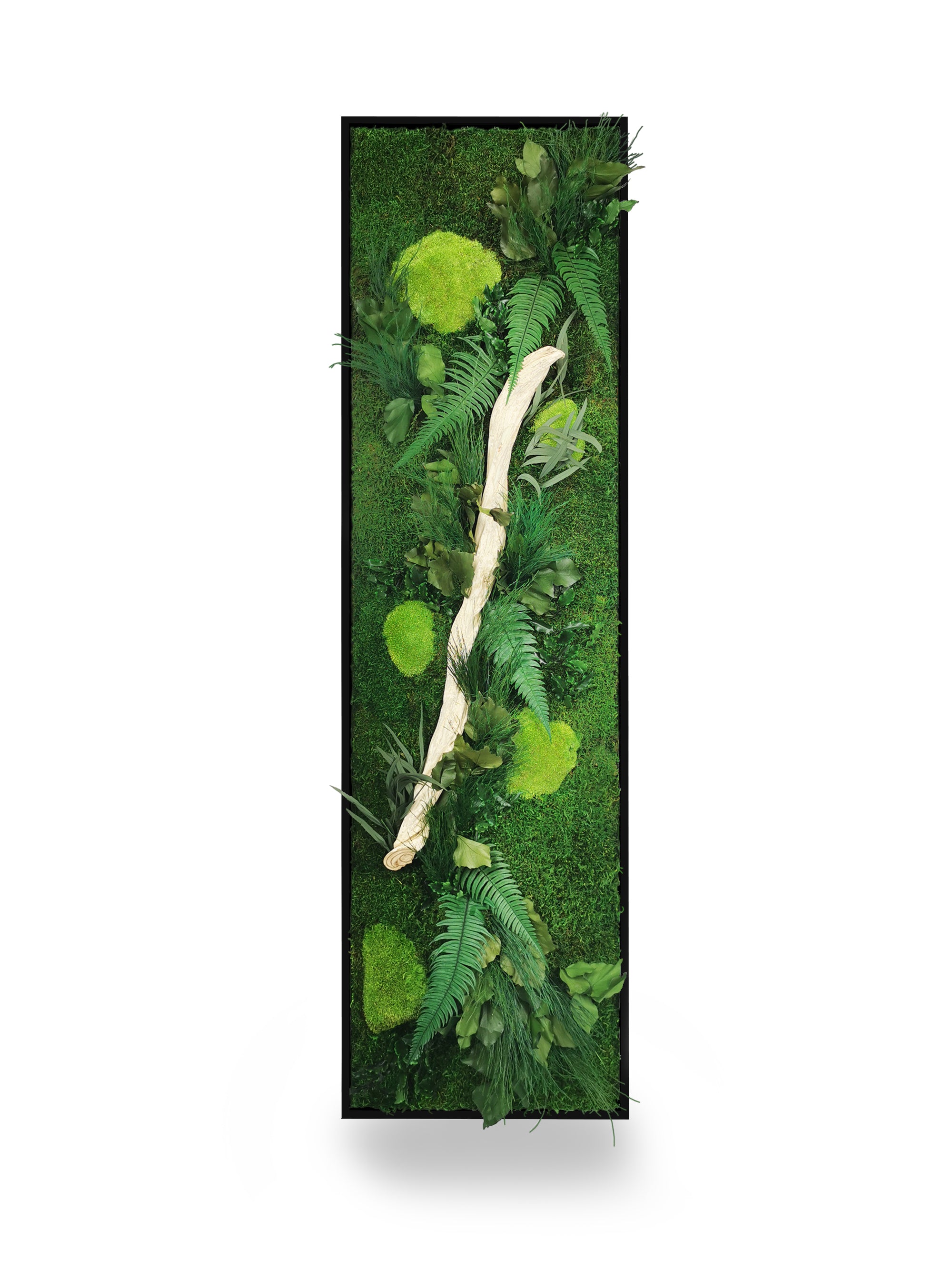 Tableau végétal stabilisé Wood 40x140 cm cadre noir installé intérieur contemporain - format rectangulaire vertical XXL bois flotté - jardin vertical décoratif professionnel - décoration murale végétale premium haut gamme