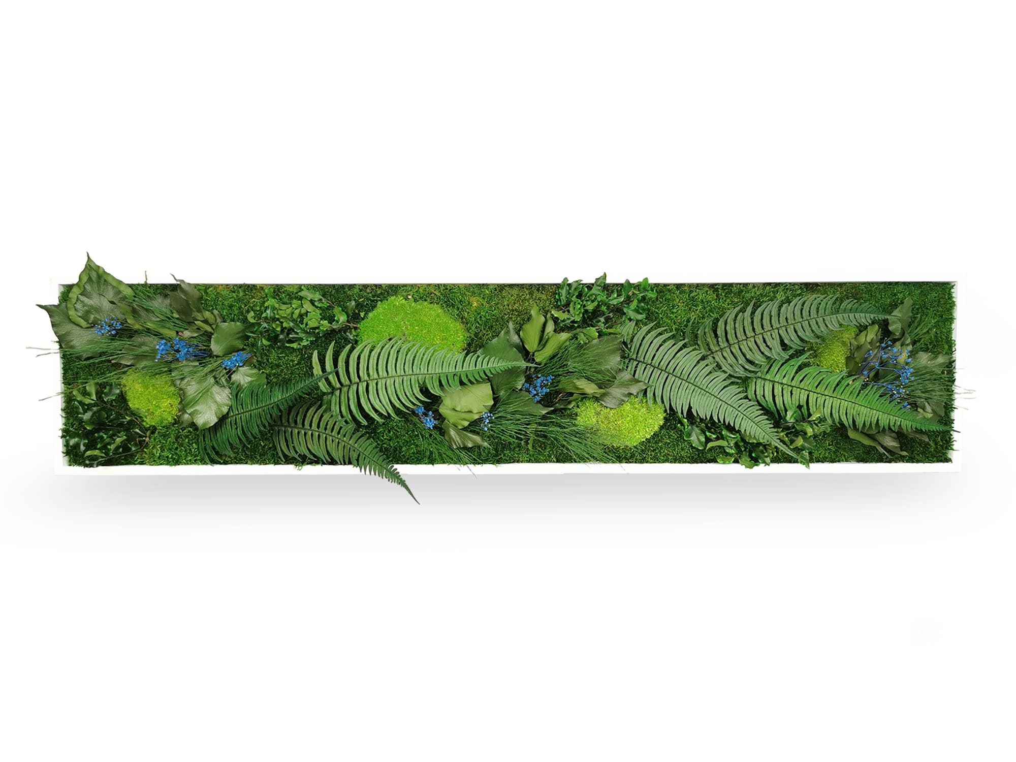 Tableau Végétal Stabilisé Elegance 25x115