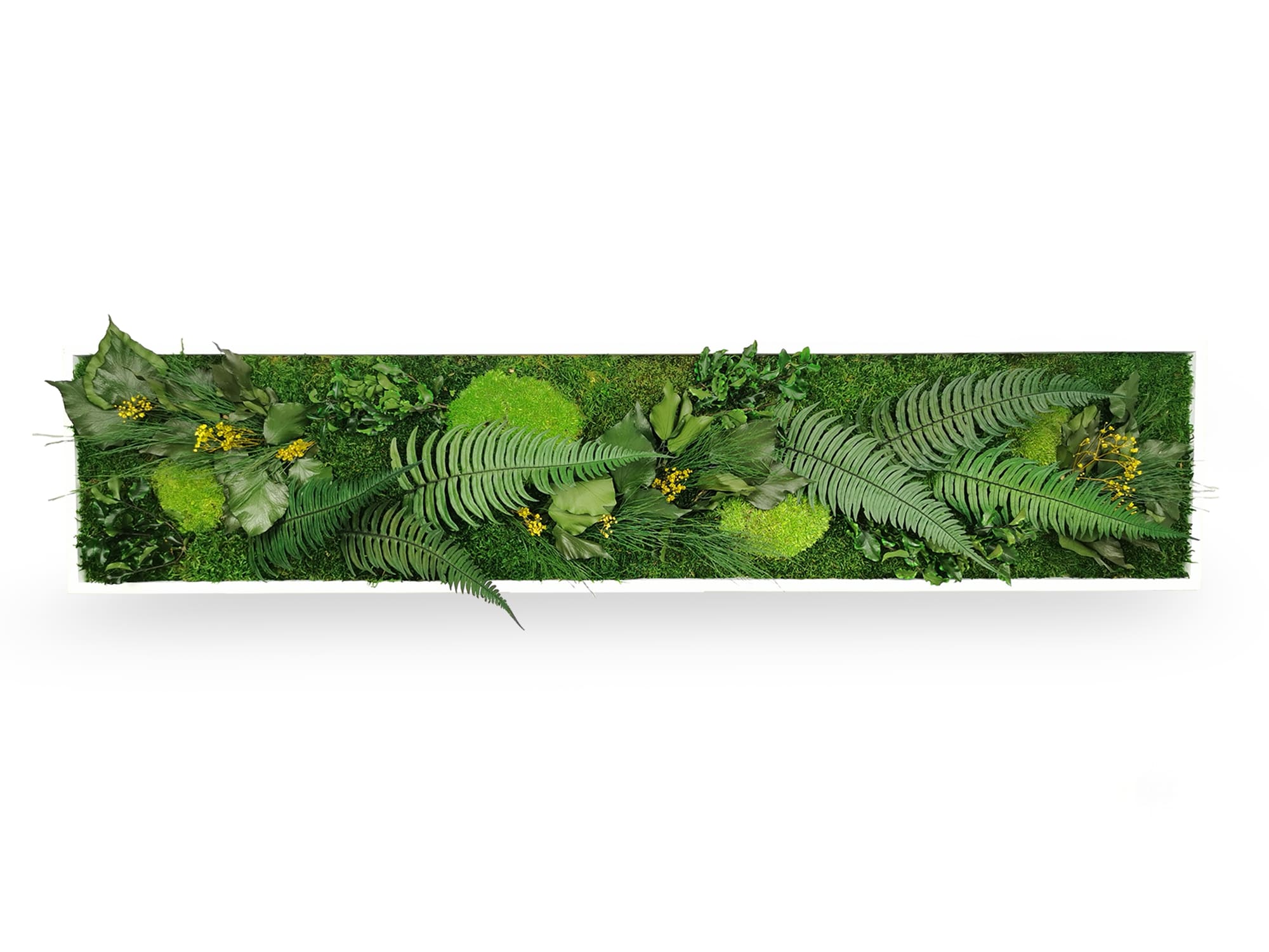 Tableau Végétal Stabilisé Elegance 25x115