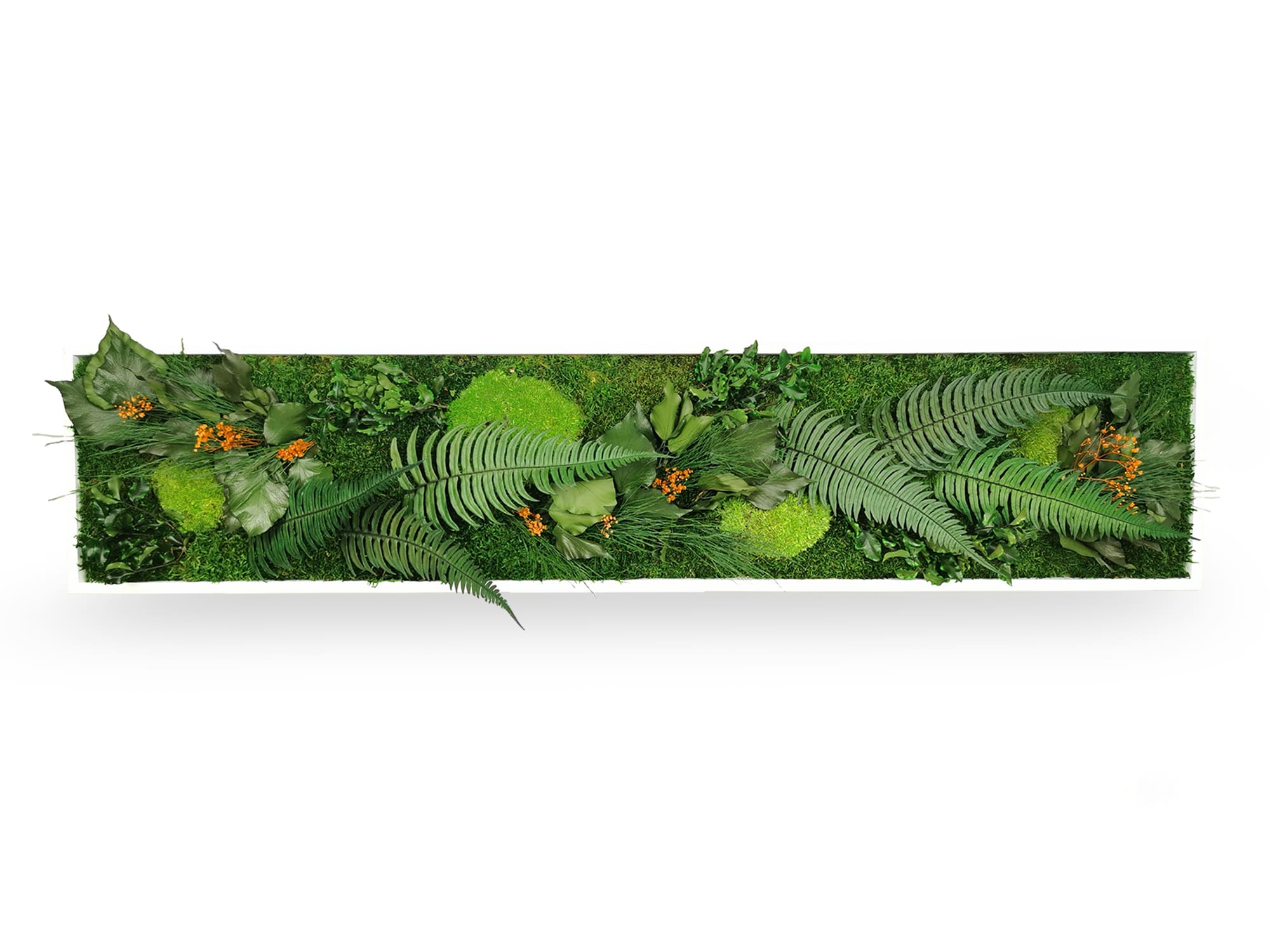 Tableau Végétal Stabilisé Elegance 25x115
