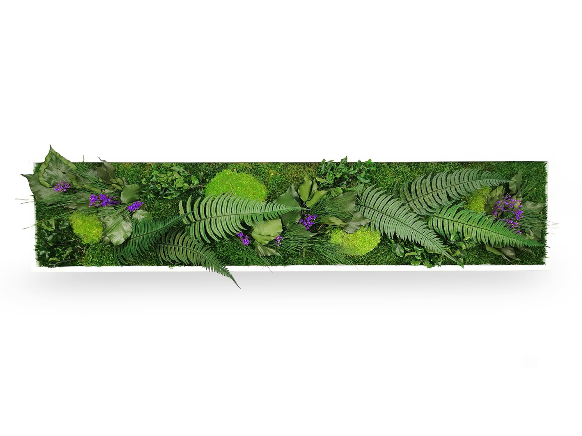 Tableau Végétal Stabilisé Elegance 25x115