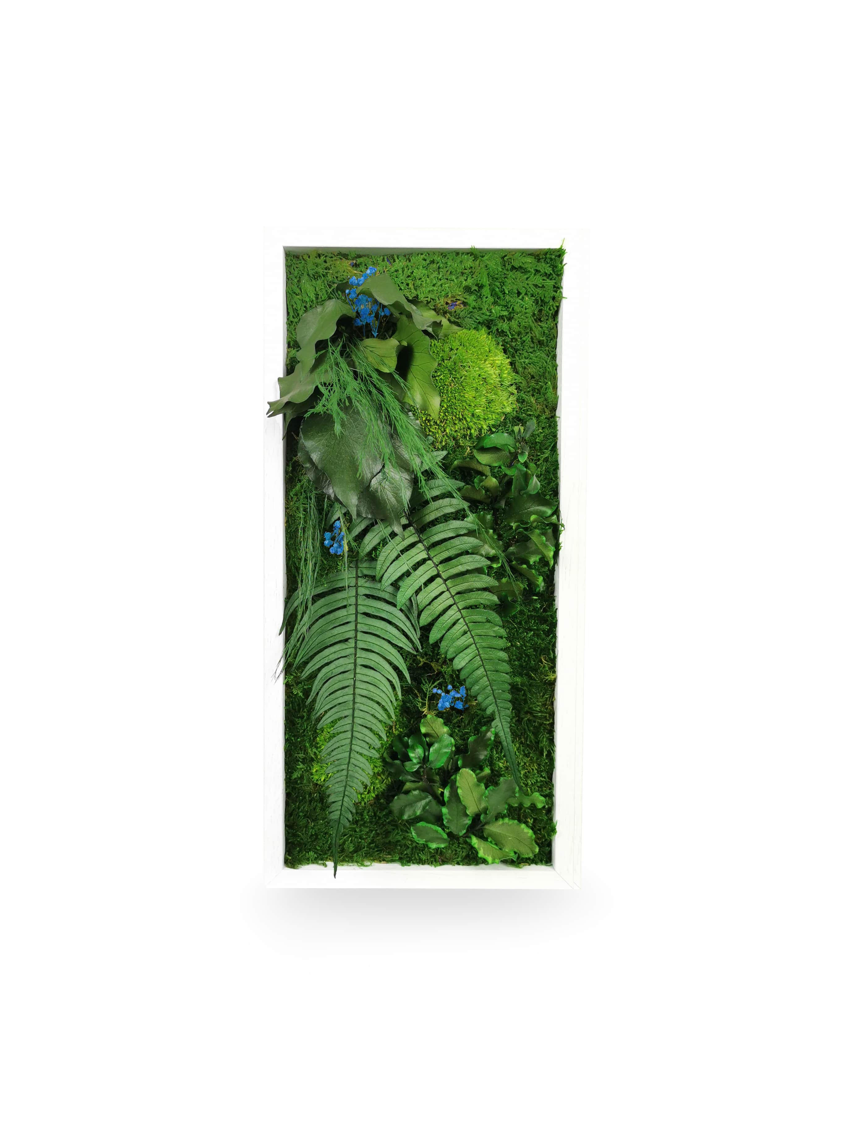 Tableau végétal naturel stabilisé Elegance 18x38