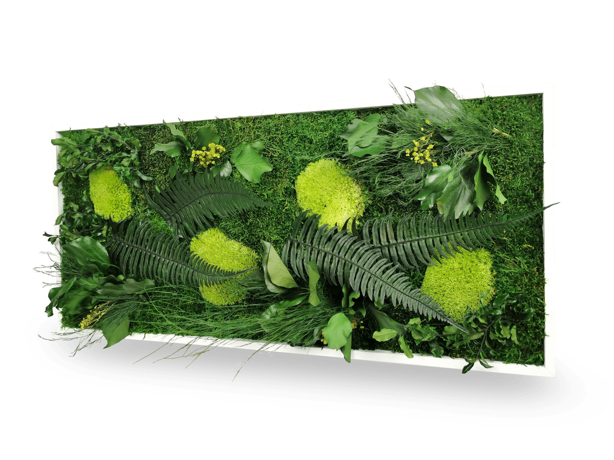 Vue rapprochée tableau végétal stabilisé Elegance 34x74 cm - composition végétale mousses fougères lierres naturels - ambiance forêt sous-bois zen apaisant - décoration écologique durable France