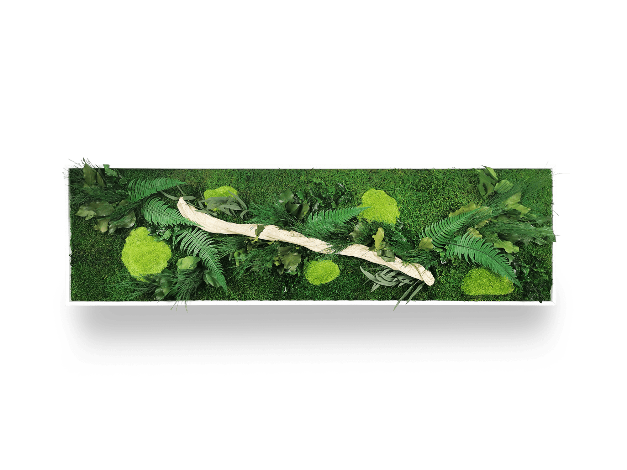 Gros plan détail tableau végétal Wood 40x140 cm - texture bois flotté naturel fougères eucalyptus stabilisés - nuancier verts autour bois - composition végétale écologique durable sans entretien France