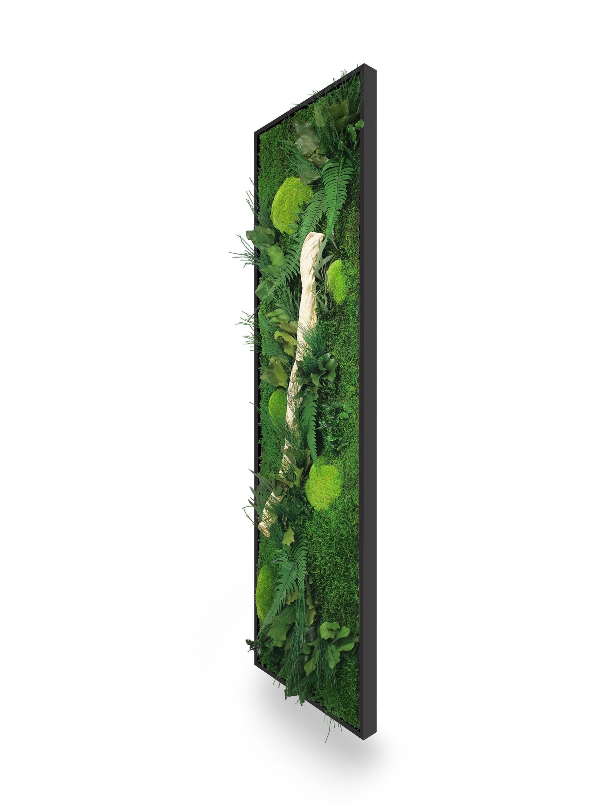 Installation mur tableau végétal stabilisé Wood 40x140 cm cadre noir - bois flotté feuillages verts - mur végétal design moderne industriel bohème - plantes stabilisées sans eau soleil - décoration intérieure France