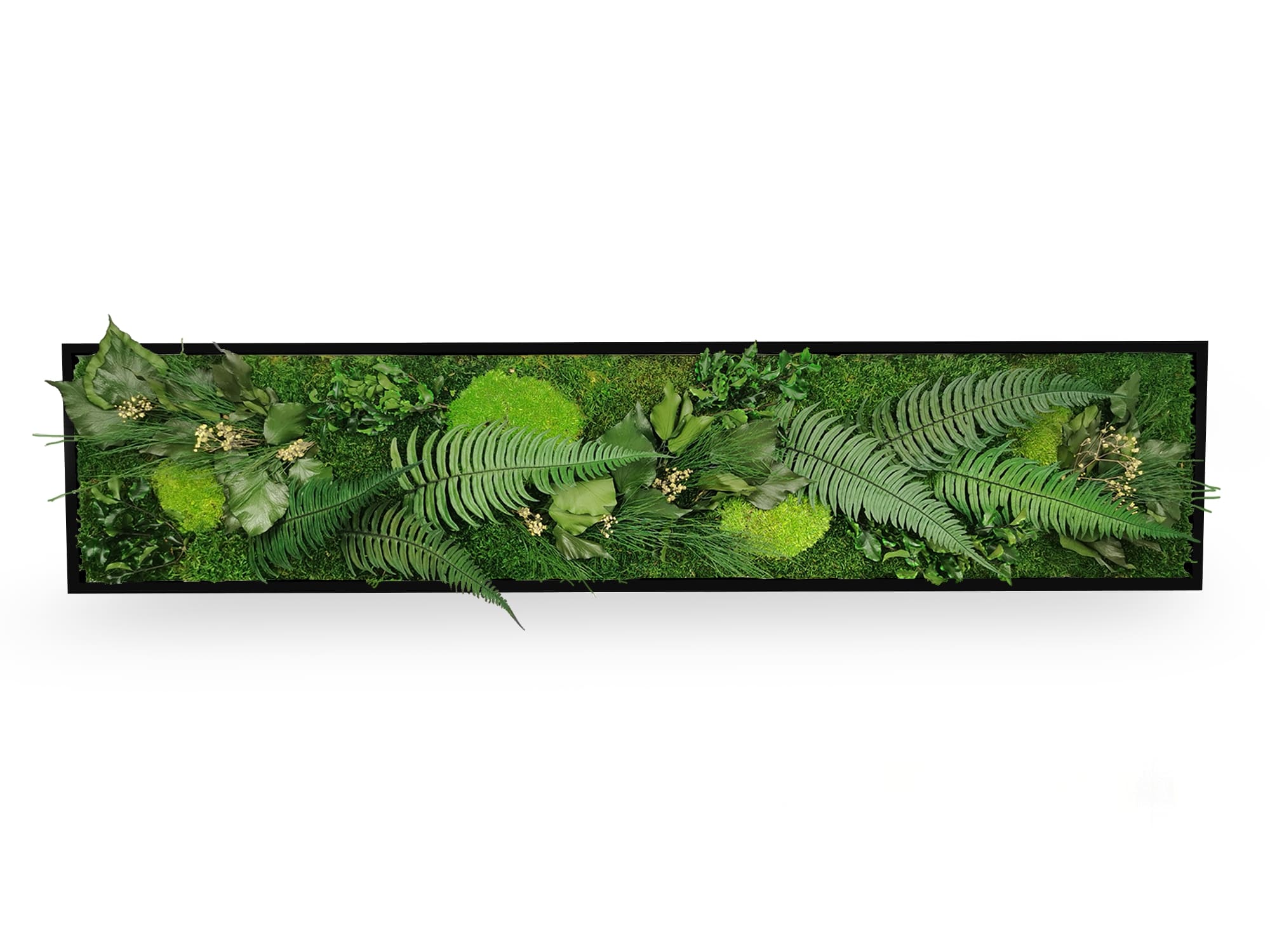 Tableau Végétal Stabilisé Elegance 25x115