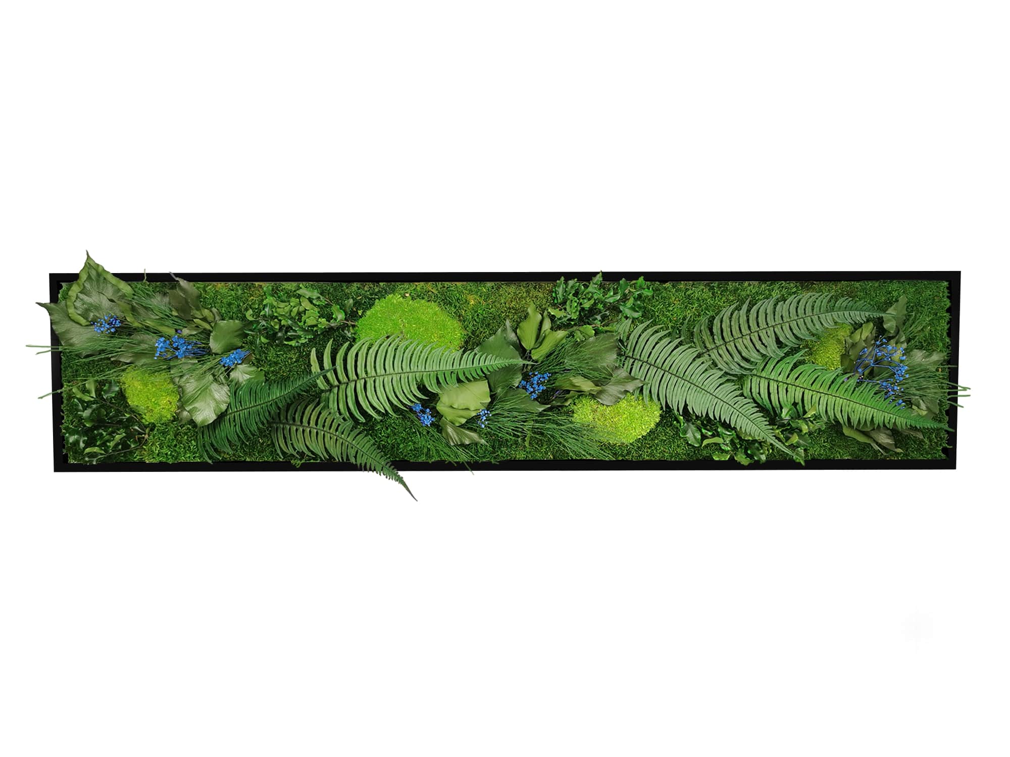 Tableau Végétal Stabilisé Elegance 25x115