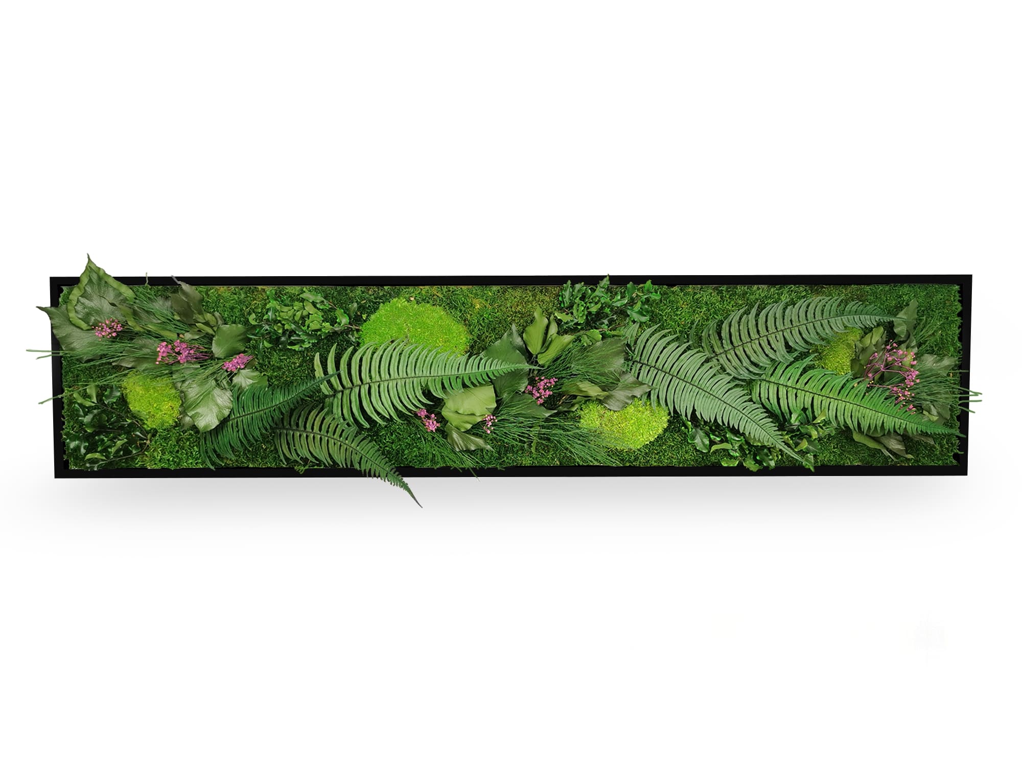 Tableau Végétal Stabilisé Elegance 25x115