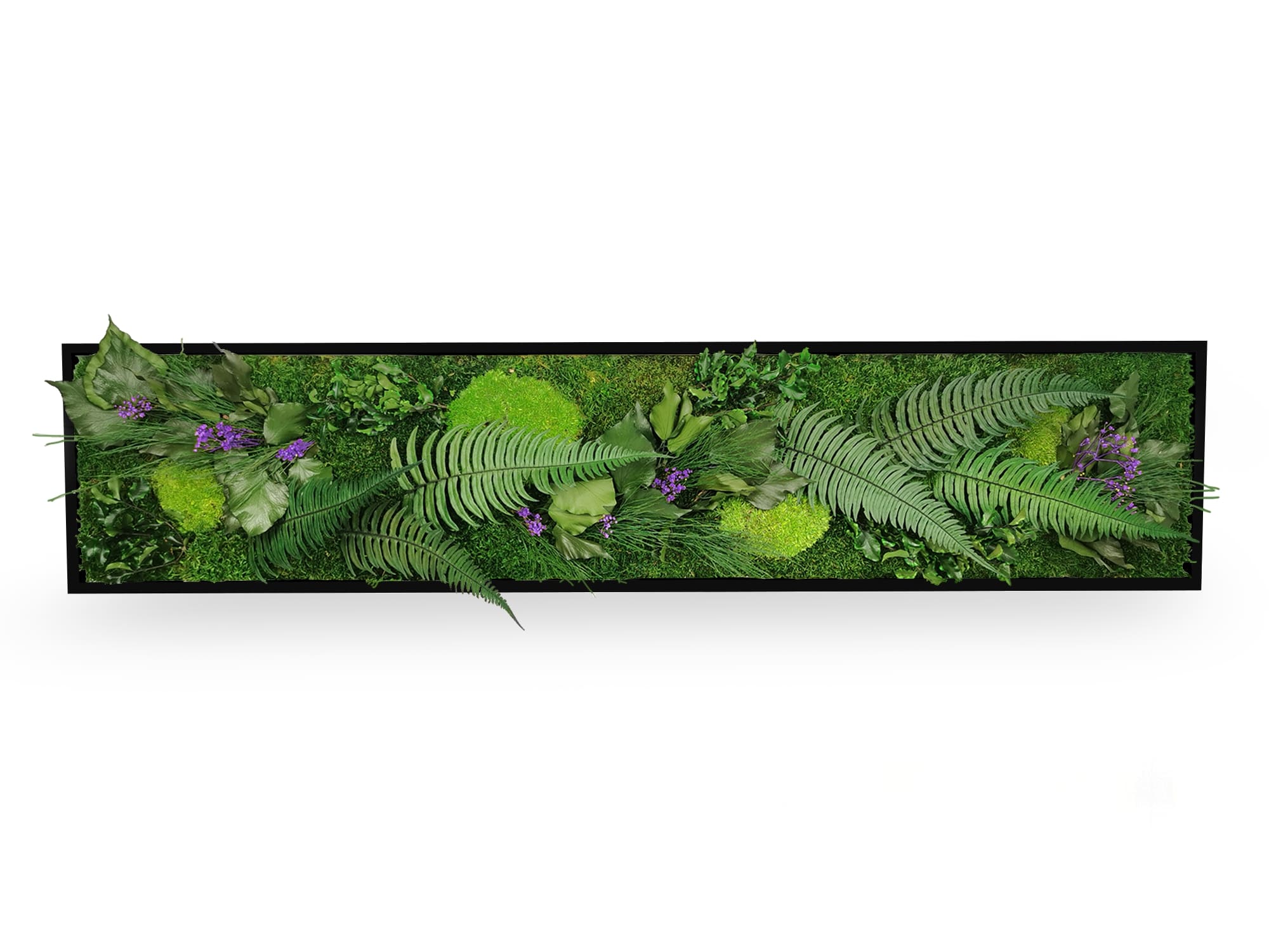 Tableau Végétal Stabilisé Elegance 25x115