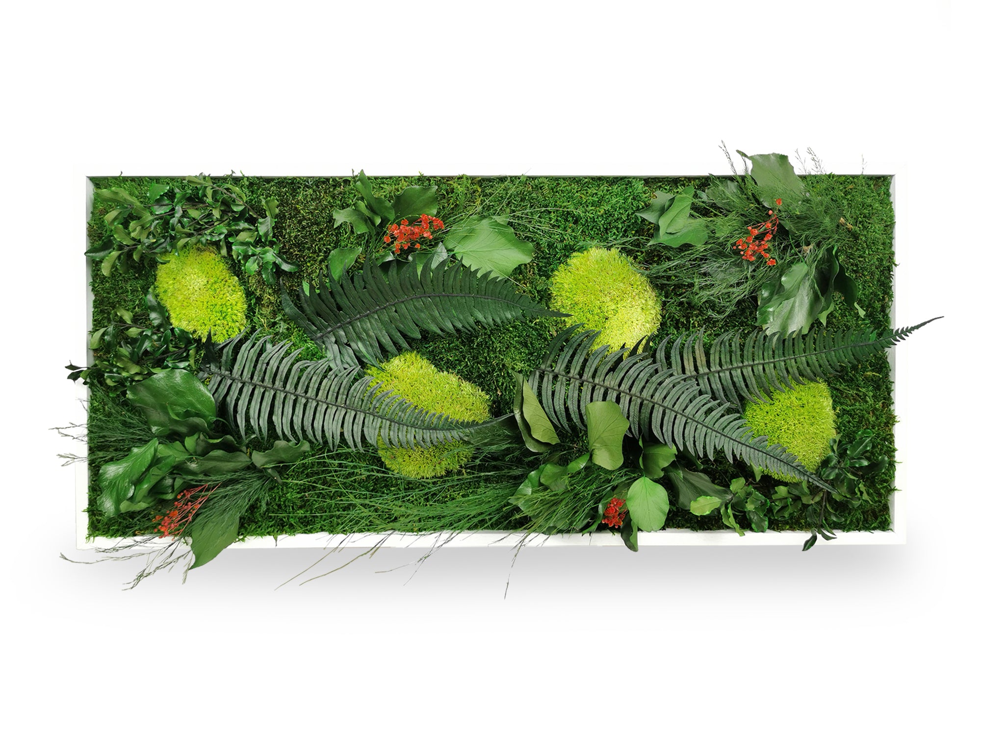 Tableau végétal stabilisé Elegance 34x74 cm cadre blanc variante rouge - mousses rouges bordeaux fougères lierres gypsophile - composition végétale unique colorée - décoration murale originale sans entretien
