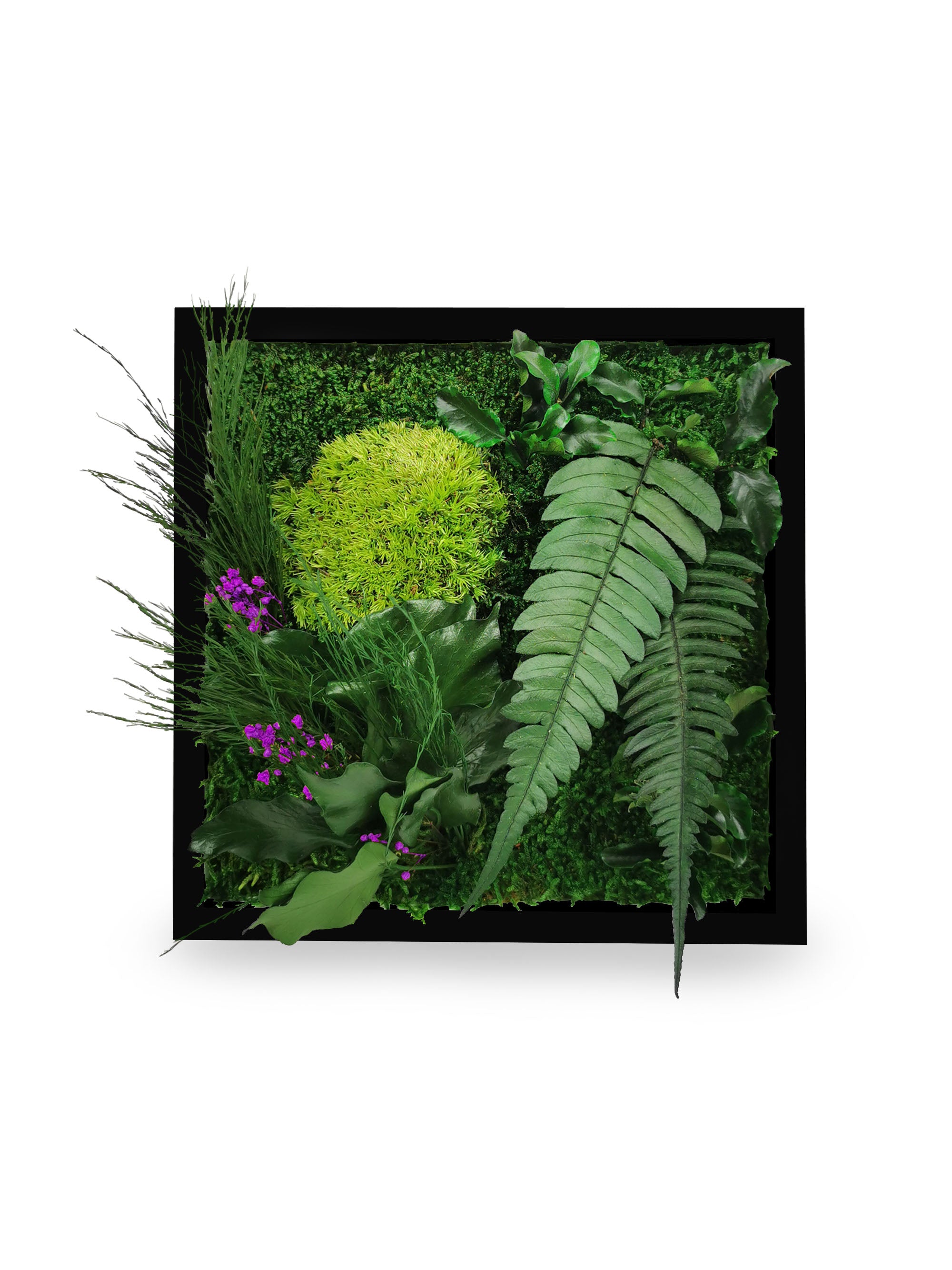 Tableau végétal naturel stabilisé Elegance 22x22