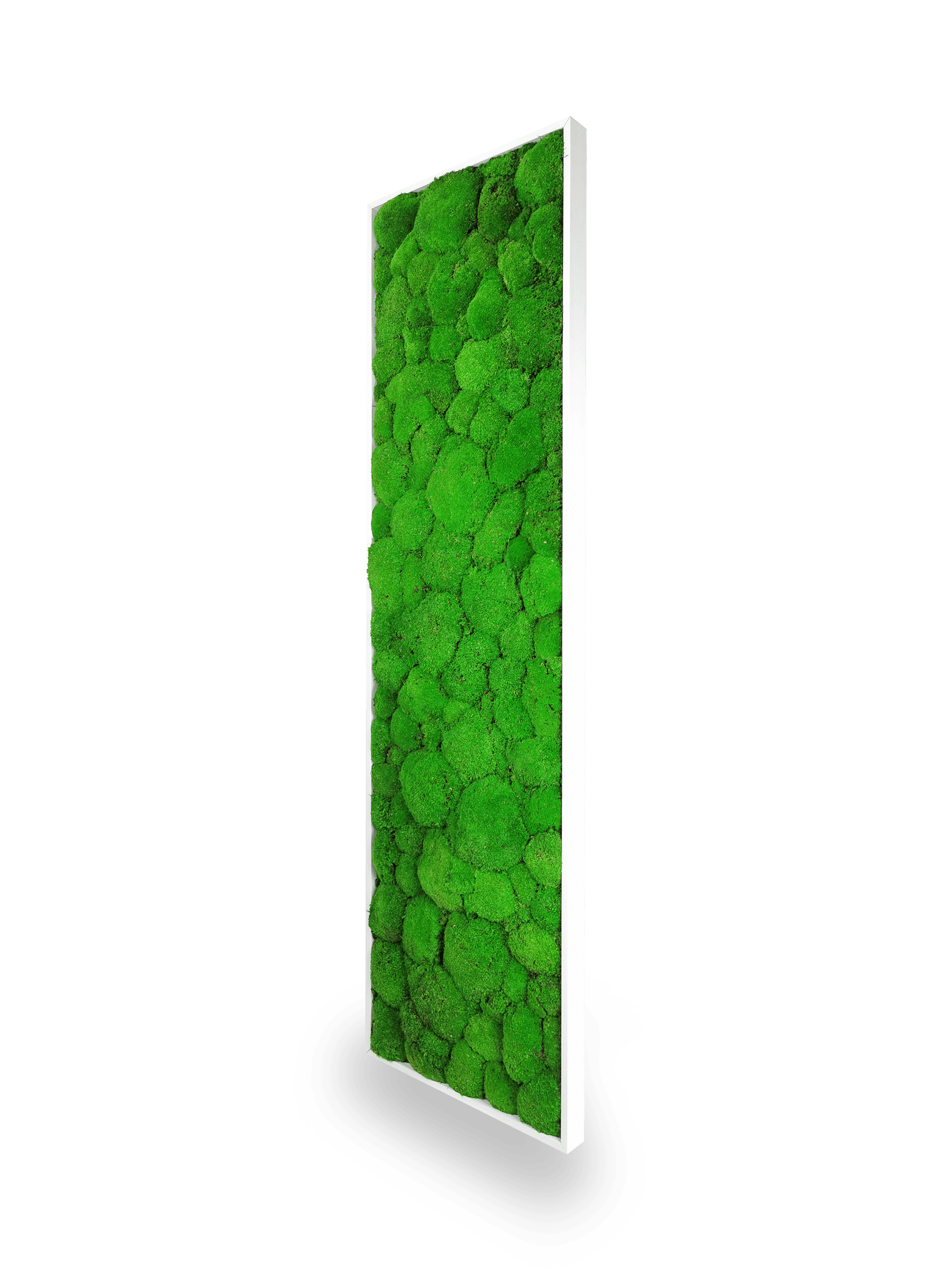 Zoom macro texture tableau végétal Sphere 40x140 cm - détail mousses boules vertes naturelles relief sphérique - composition 100% mousses stabilisées - sans eau soleil entretien - ambiance zen