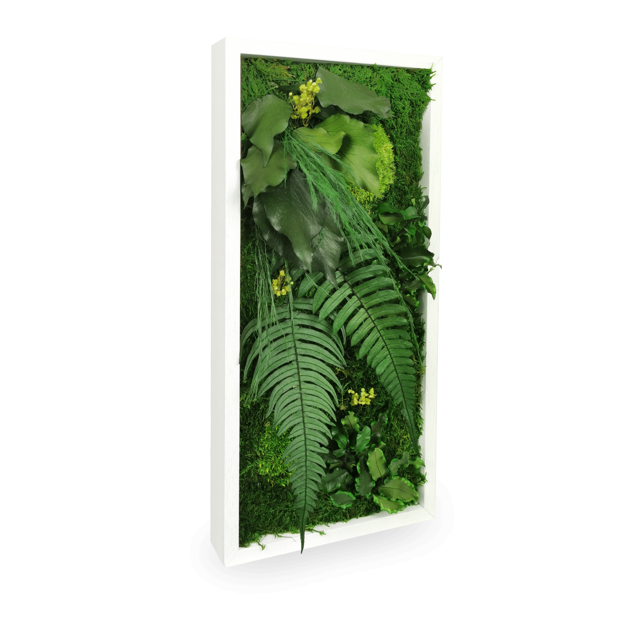 Tableau végétal naturel stabilisé Elegance 18x38 cm - composition mousses vertes acidulées fougères vert foncé lierres - jardin vertical petit format intérieur sans eau lumière décoration tendance 2025