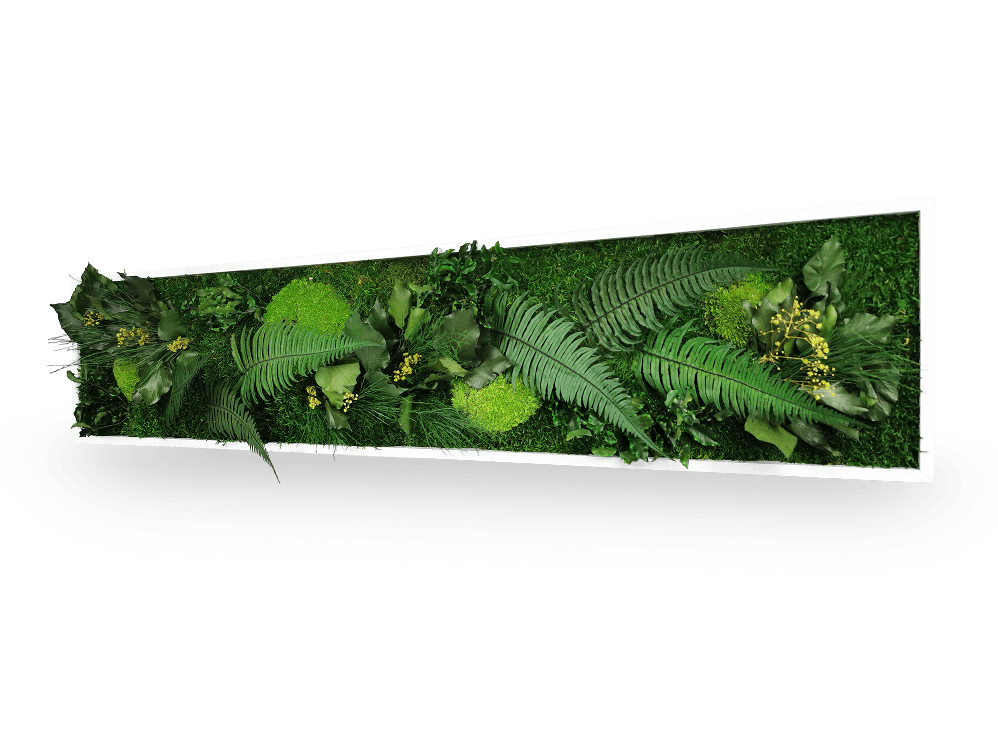 Vue rapprochée tableau végétal stabilisé Elegance 25x115 cm - composition mousses vertes acidulées fougères vert foncé lierres - ambiance nature zen apaisant - décoration écologique durable bureau maison