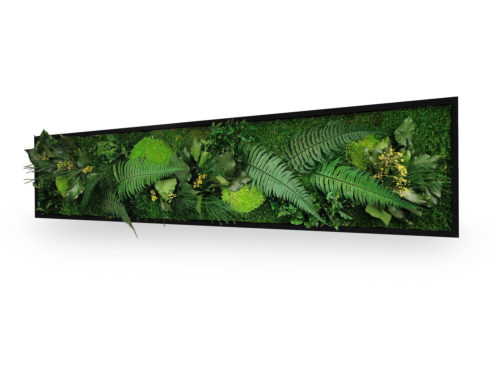 Détail texture tableau végétal Elegance 25x115 cm cadre noir - mousses plates boules relief fougères lierres stabilisés - ambiance nature zen relaxante - décoration végétale écologique couloir entrée