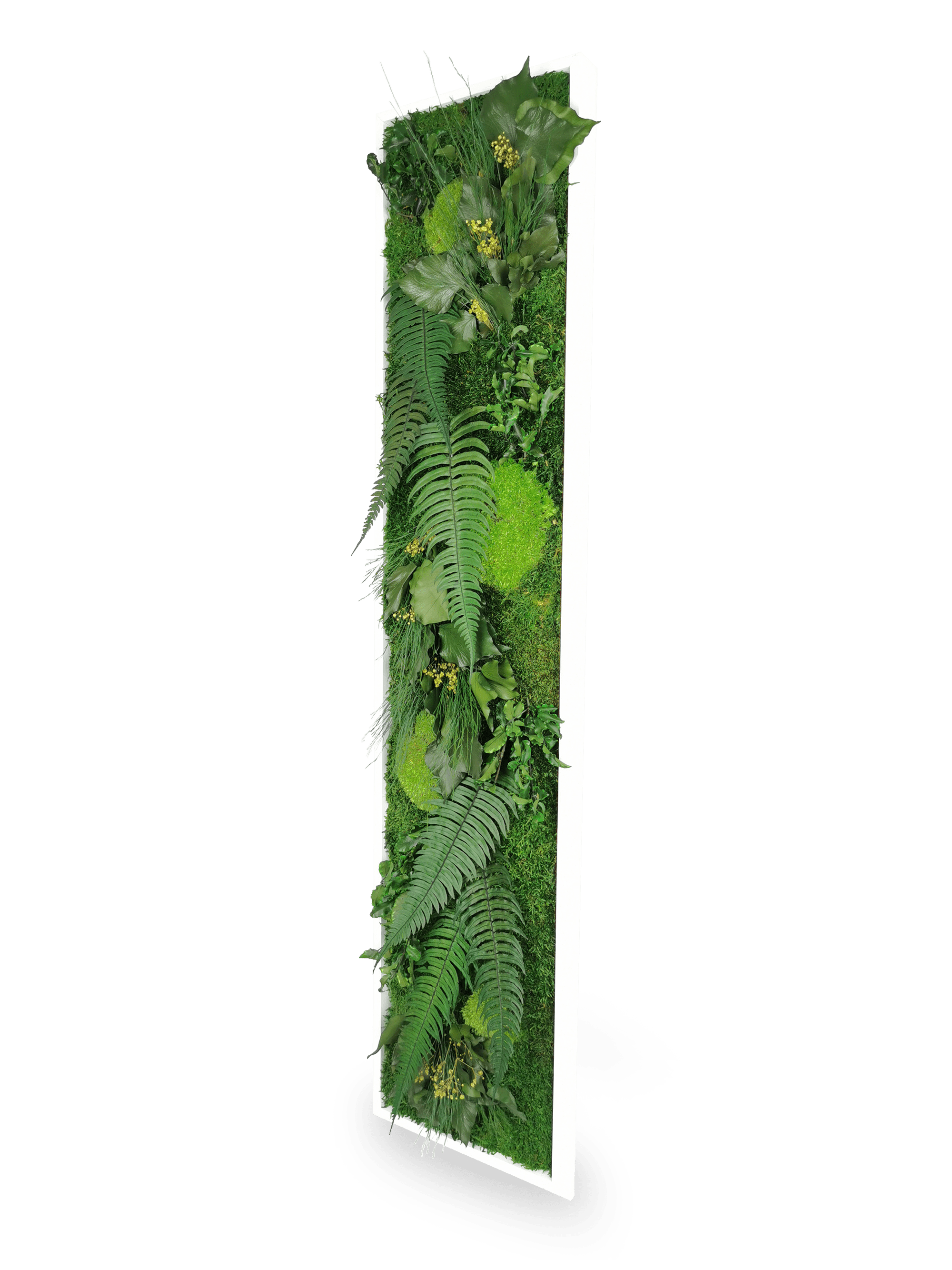 Tableau Végétal Vertical Stabilisé Elegance 25x115