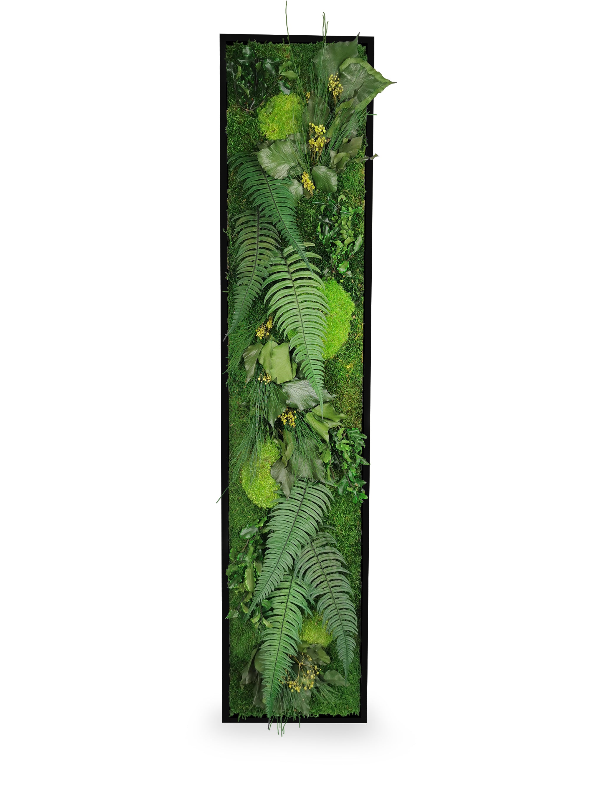 Tableau végétal Elegance 25x115 cm cadre noir installé intérieur contemporain - format rectangulaire vertical étroit long - jardin vertical décoratif professionnel - décoration murale végétale premium