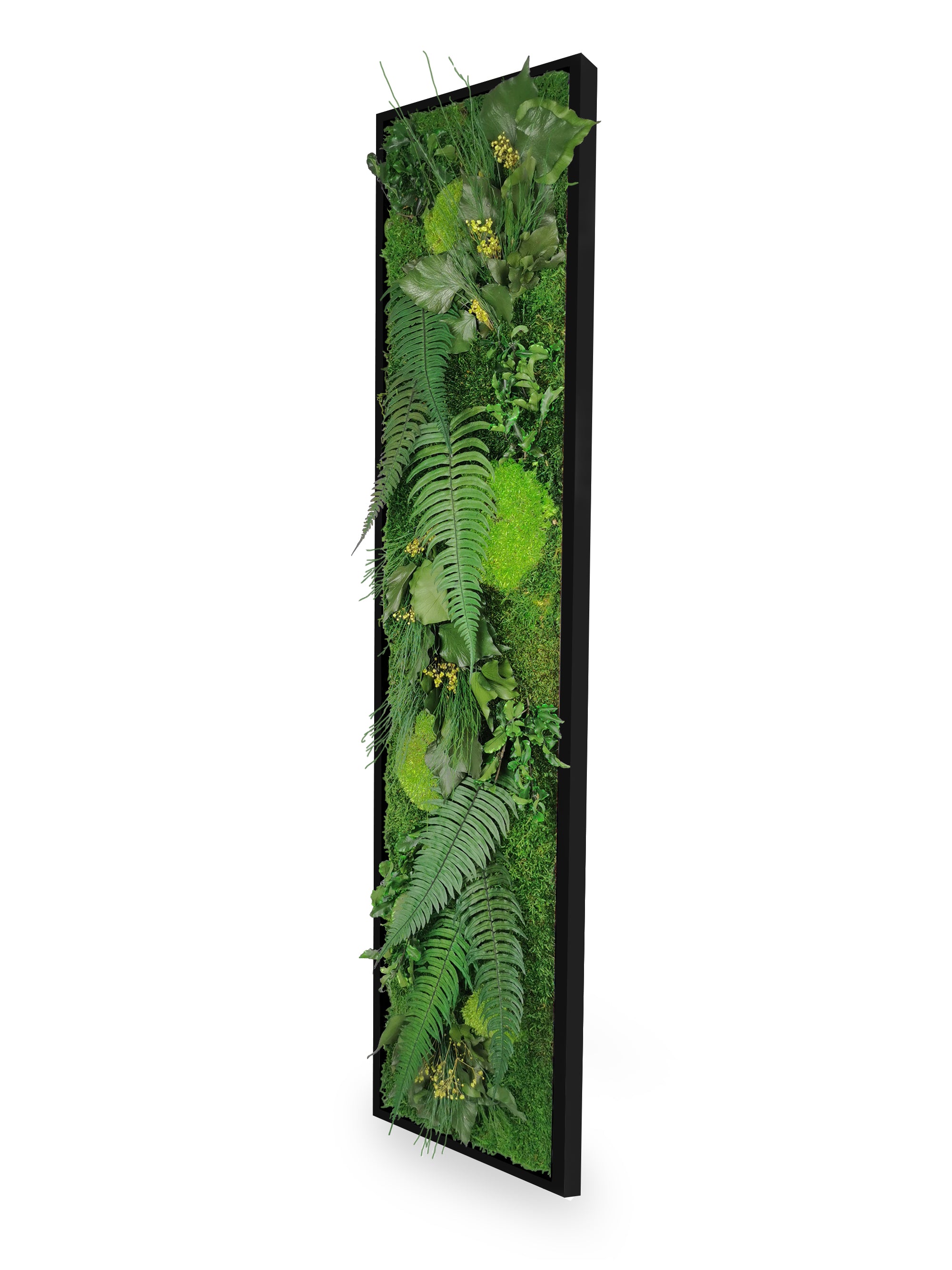 Installation mur tableau végétal stabilisé Elegance 25x115 cm cadre noir - mur végétal design moderne industriel format étroit - plantes stabilisées sans eau soleil - décoration intérieure tendance 2025