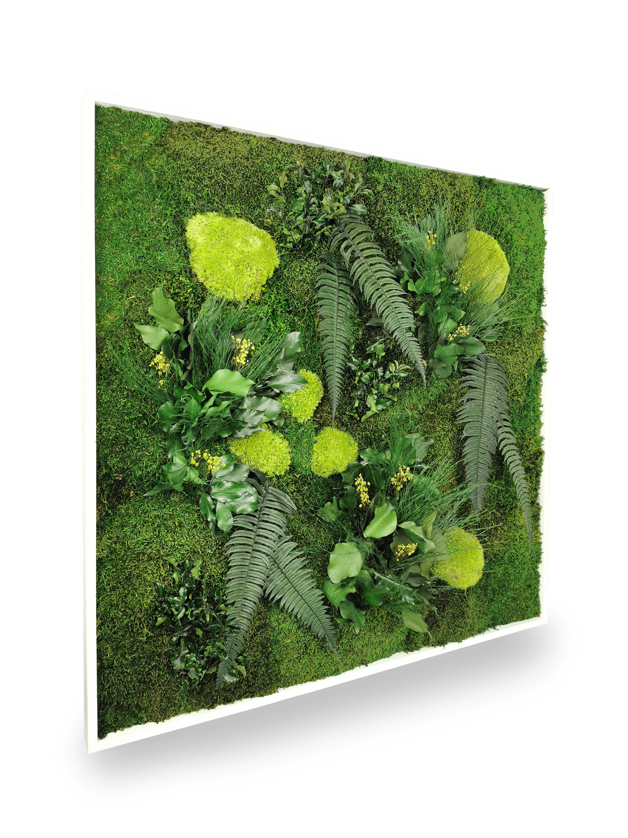 Tableau Végétal Naturel Stabilisé Elegance 80x80