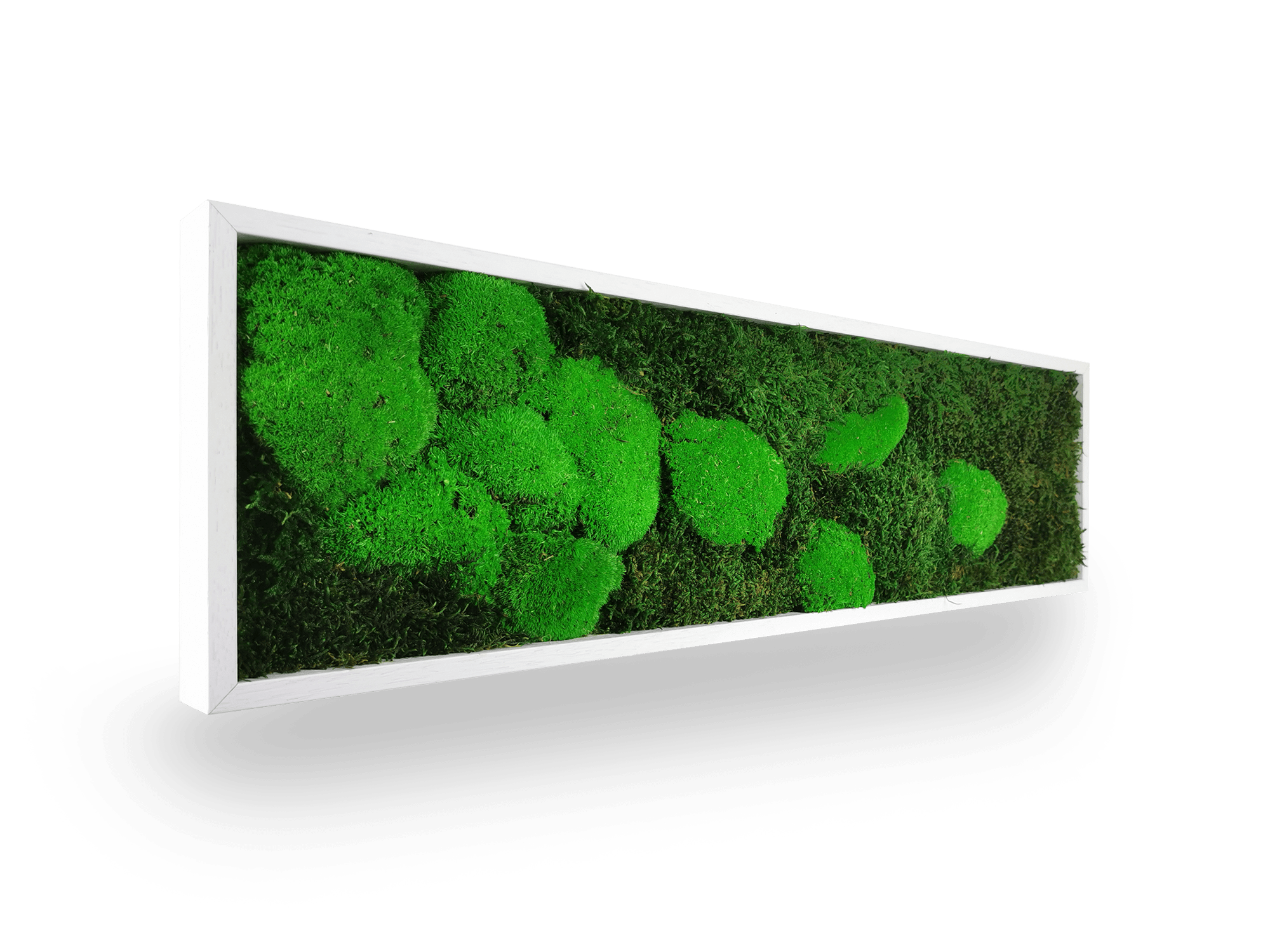 Tableau végétal naturel stabilisé Moss 20x70 cm - composition mousses vertes variées textures relief - jardin vertical étroit intérieur sans eau lumière - décoration murale nature tendance 2025 France