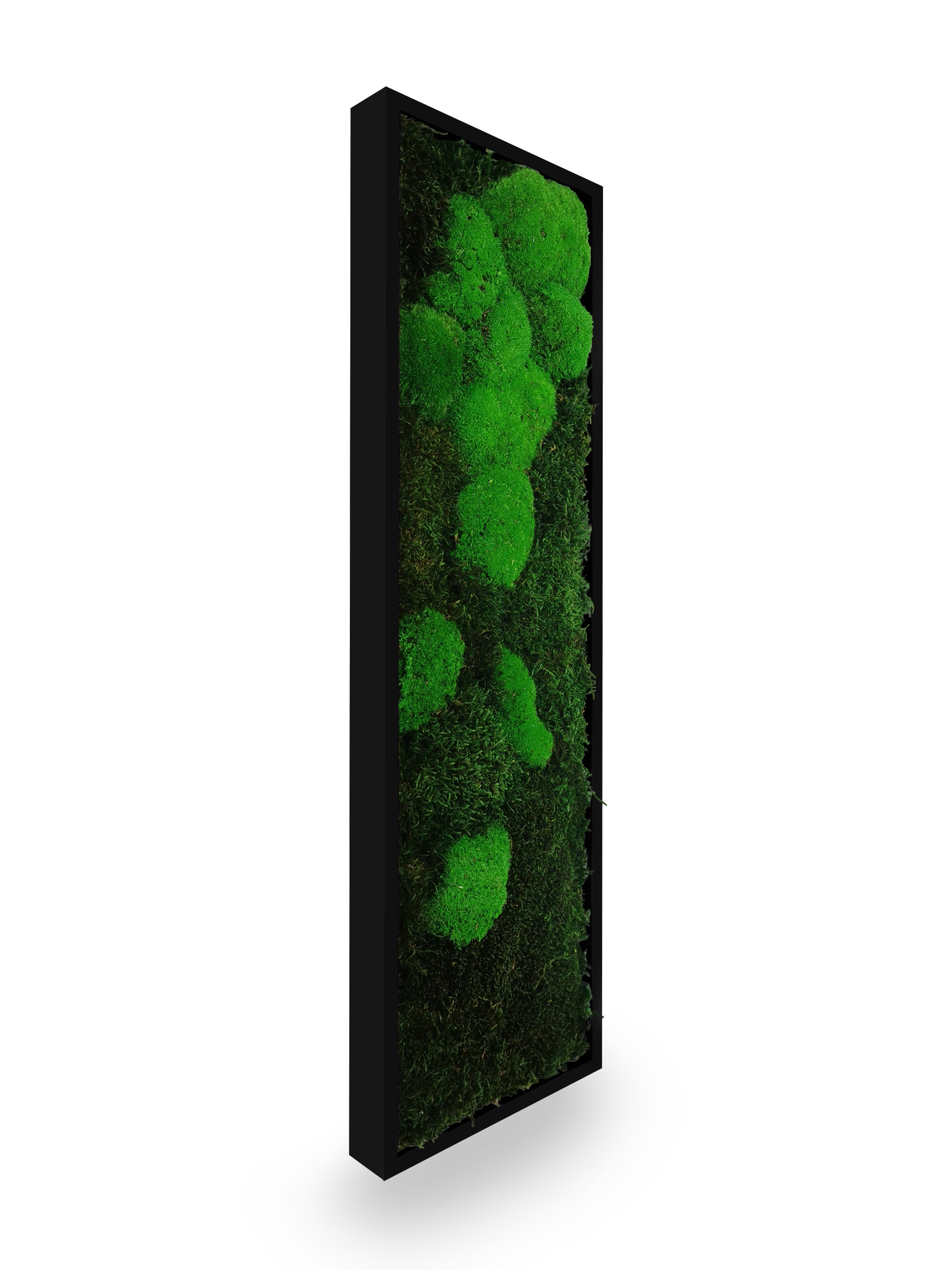 Vue rapprochée tableau végétal stabilisé Moss 20x70 cm cadre noir - composition mousses vertes naturelles épurée - mur végétal moderne minimaliste sans entretien arrosage lumière