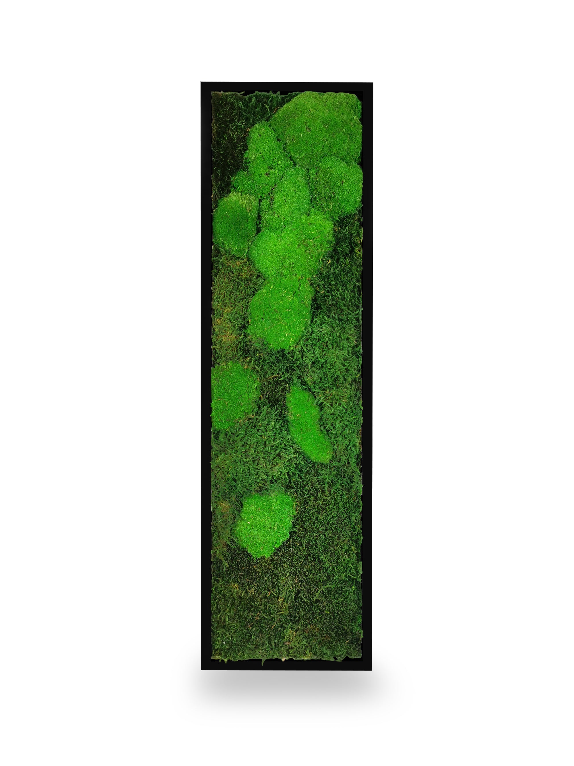 Tableau végétal Moss 20x70 cm cadre noir installé intérieur contemporain - format rectangulaire vertical étroit long - jardin vertical décoratif professionnel - décoration murale végétale premium