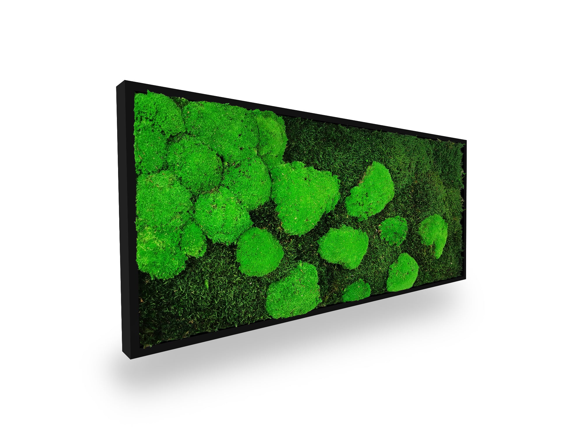 Tableau végétal naturel stabilisé Moss 34x74