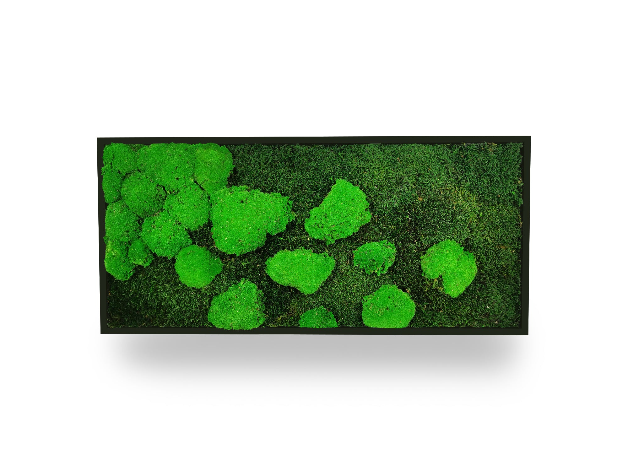 Tableau végétal naturel stabilisé Moss 34x74