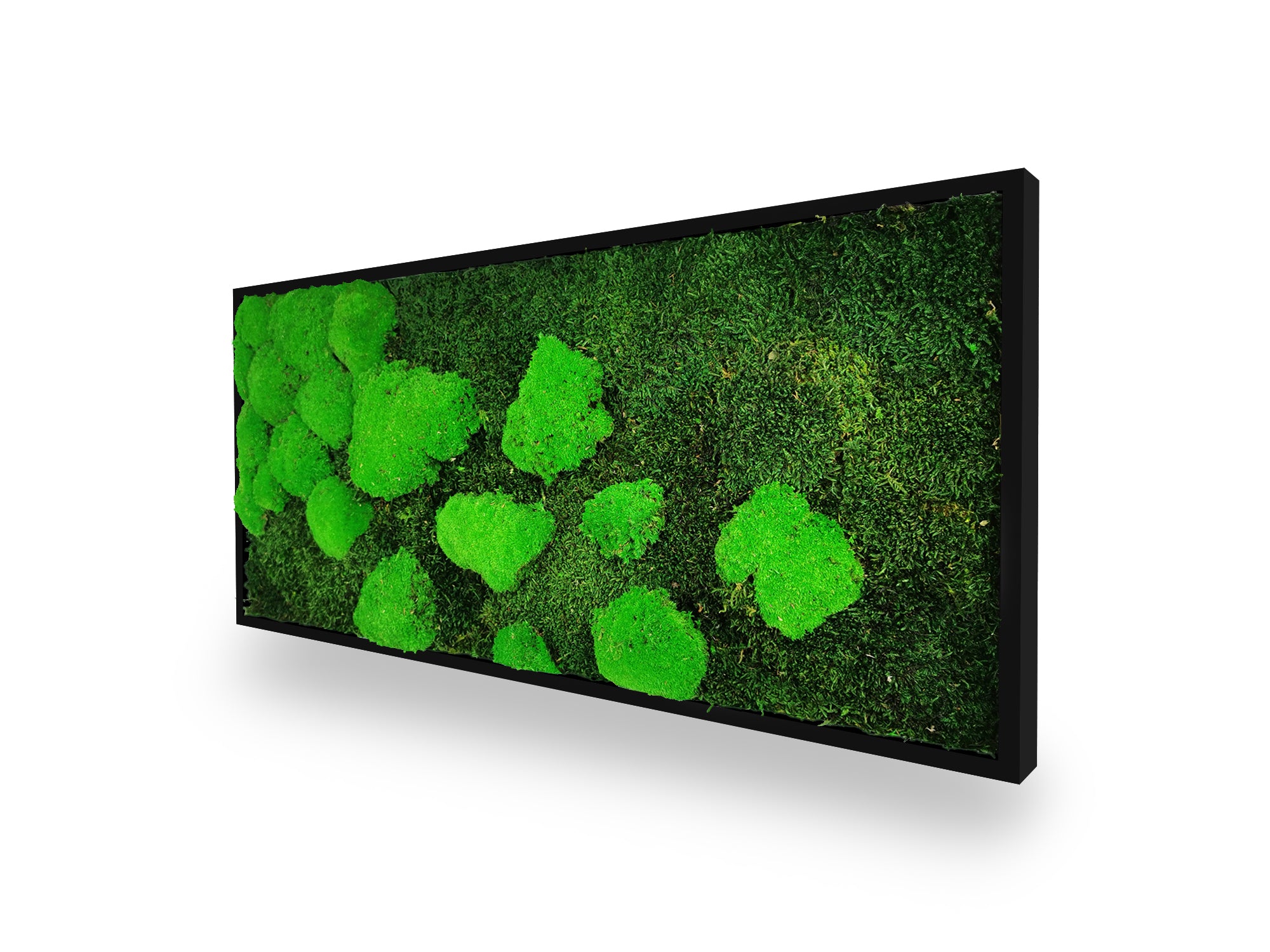 Tableau végétal naturel stabilisé Moss 34x74