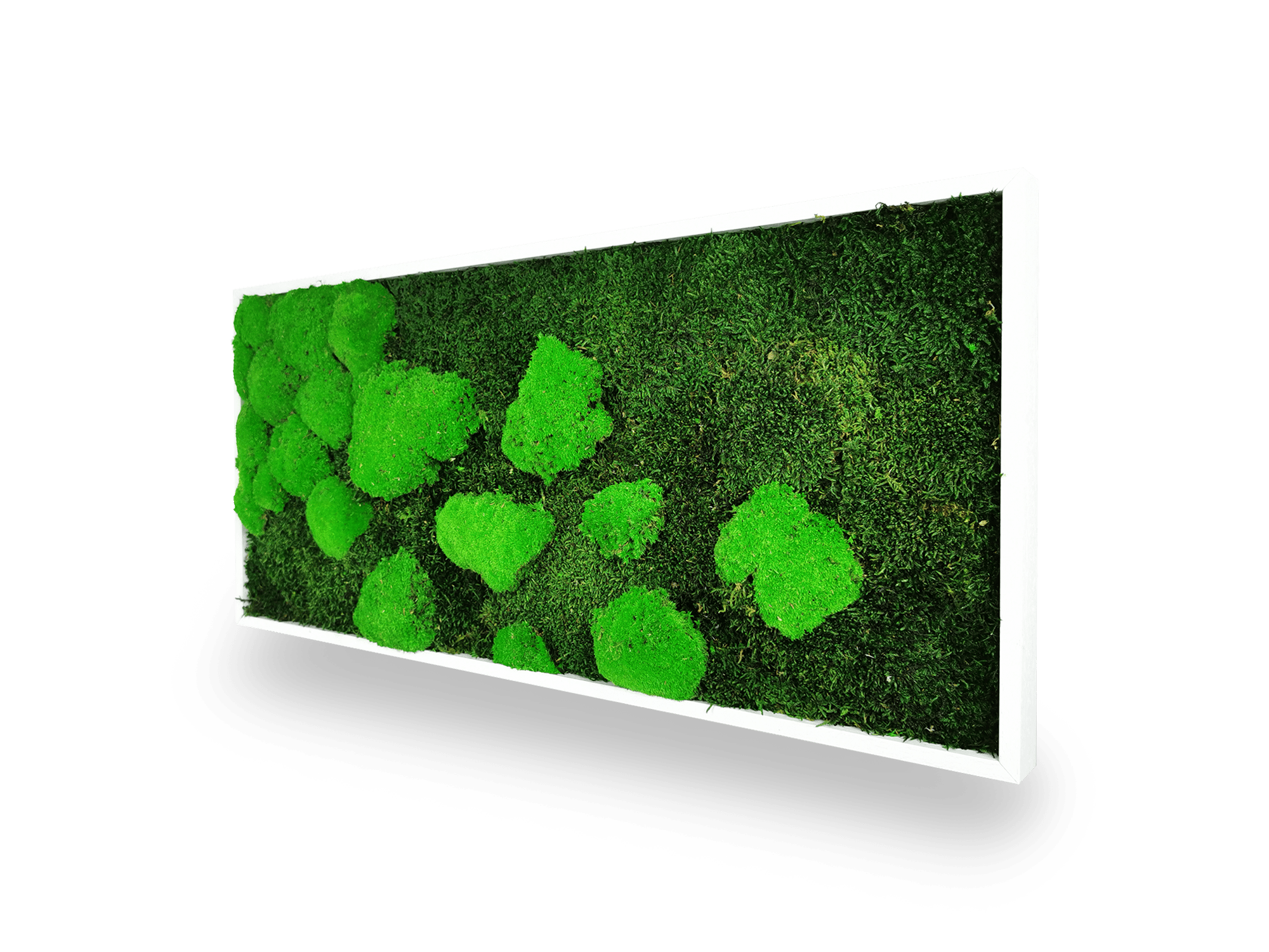 Tableau végétal naturel stabilisé Moss 34x74