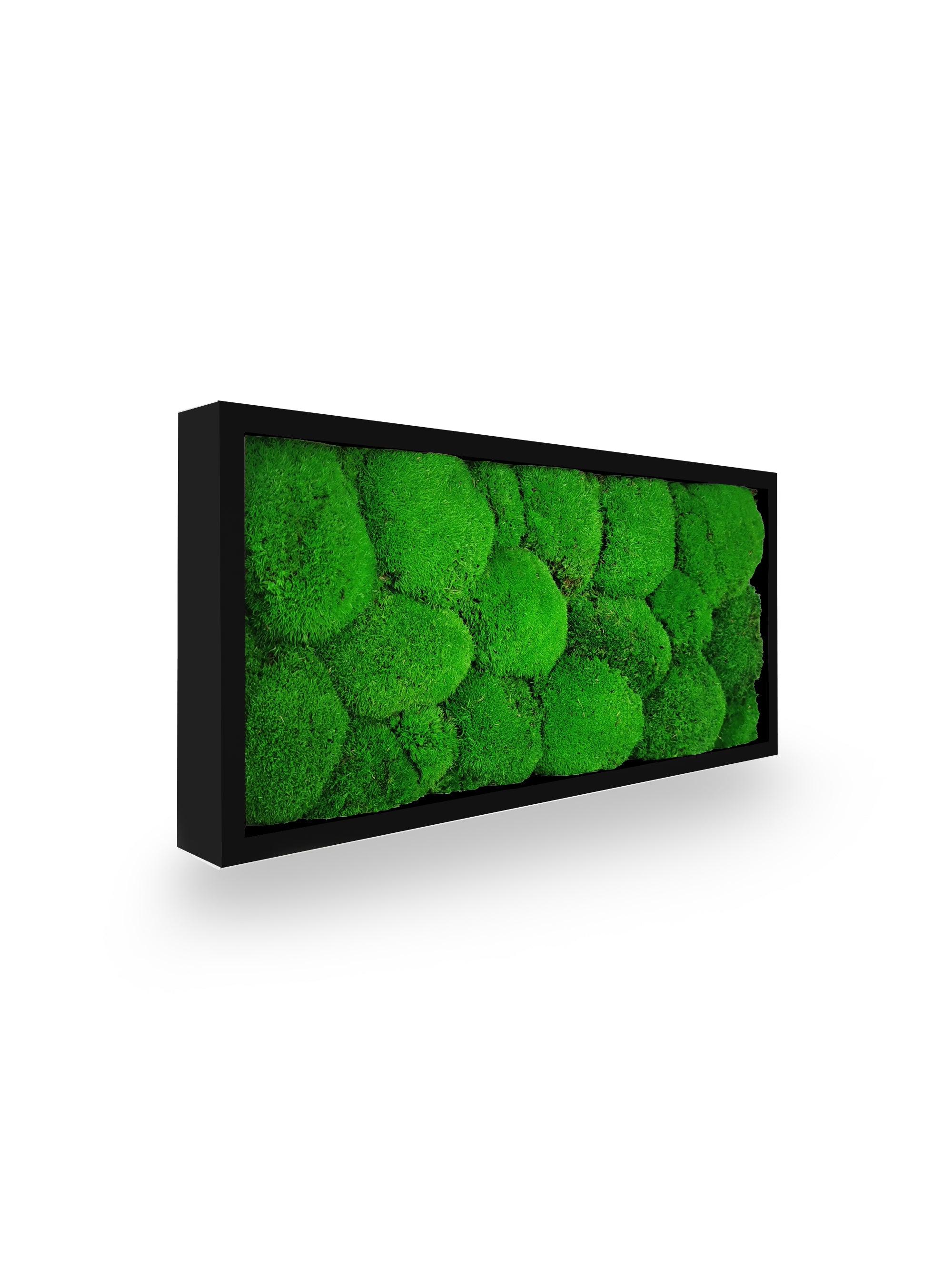 Tableau végétal stabilisé Sphere 18x38 cm cadre noir mat moderne - mousses boules vertes naturelles relief 3D - mur végétal design contemporain industriel étroit sans entretien