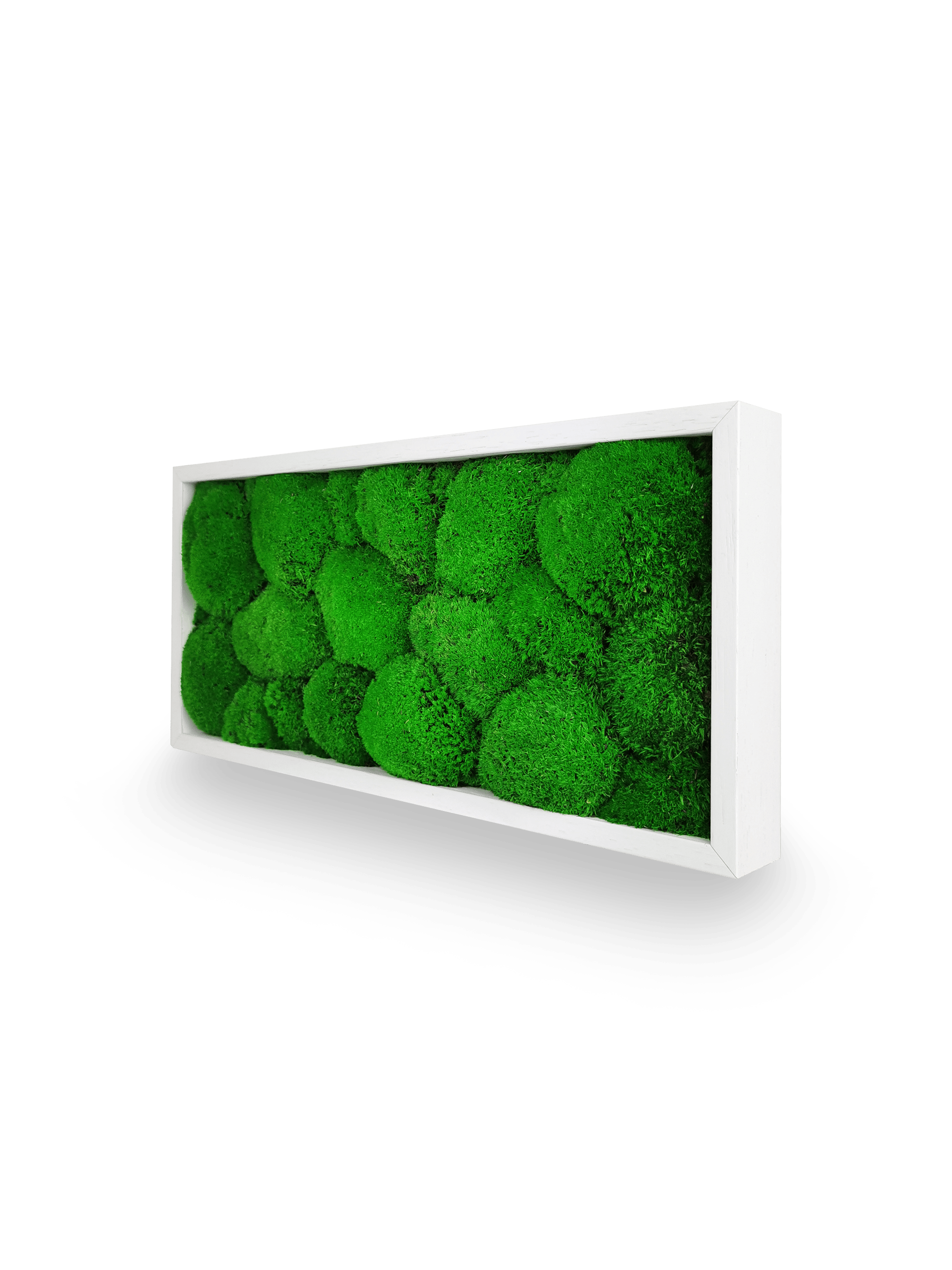 Tableau végétal naturel stabilisé Sphere 18x38