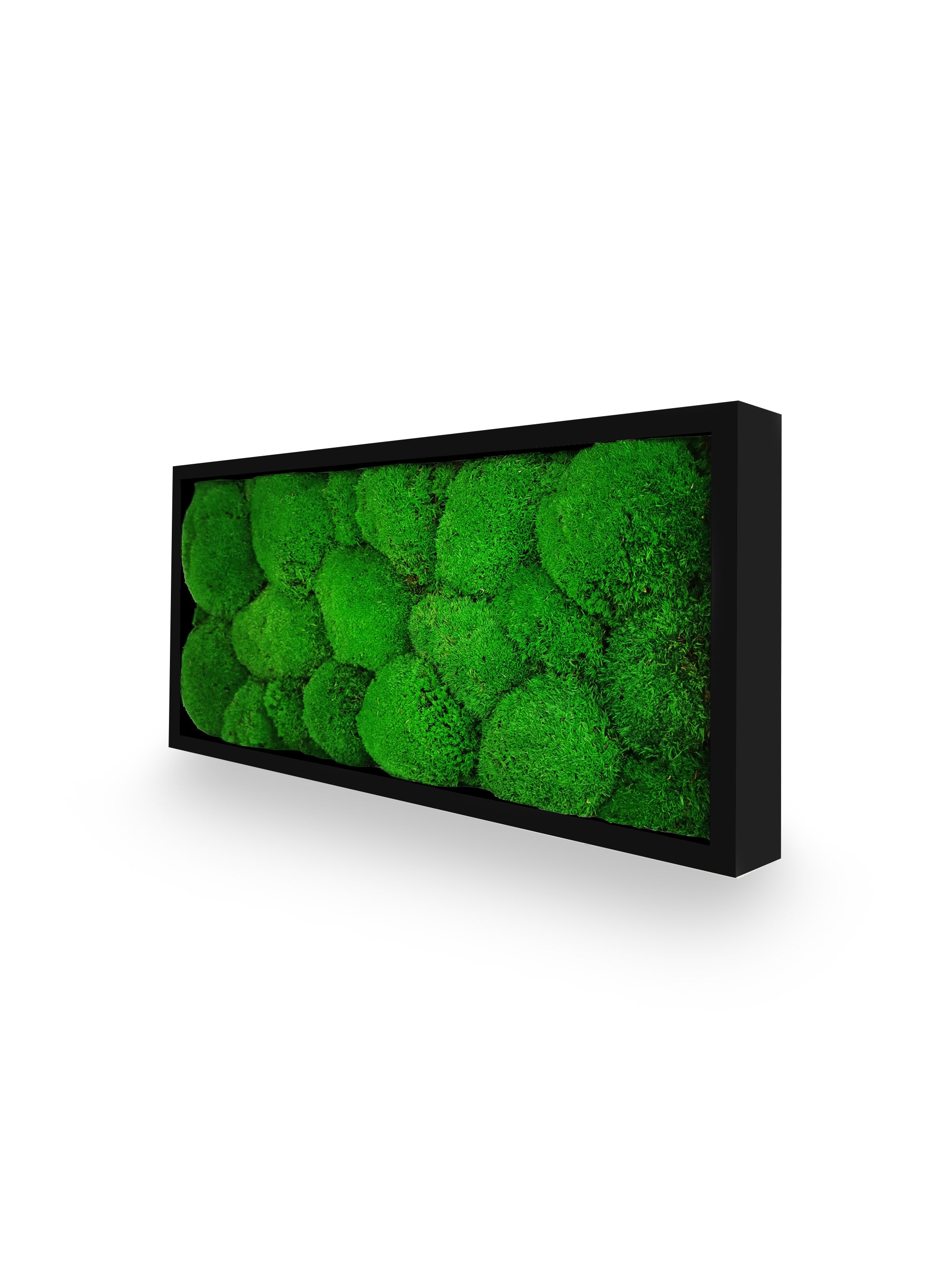 Détail texture tableau végétal Sphere 18x38 cm cadre noir - mousses boules vertes stabilisées relief 3D sphérique - ambiance nature zen relaxante - décoration végétale écologique moderne couloir