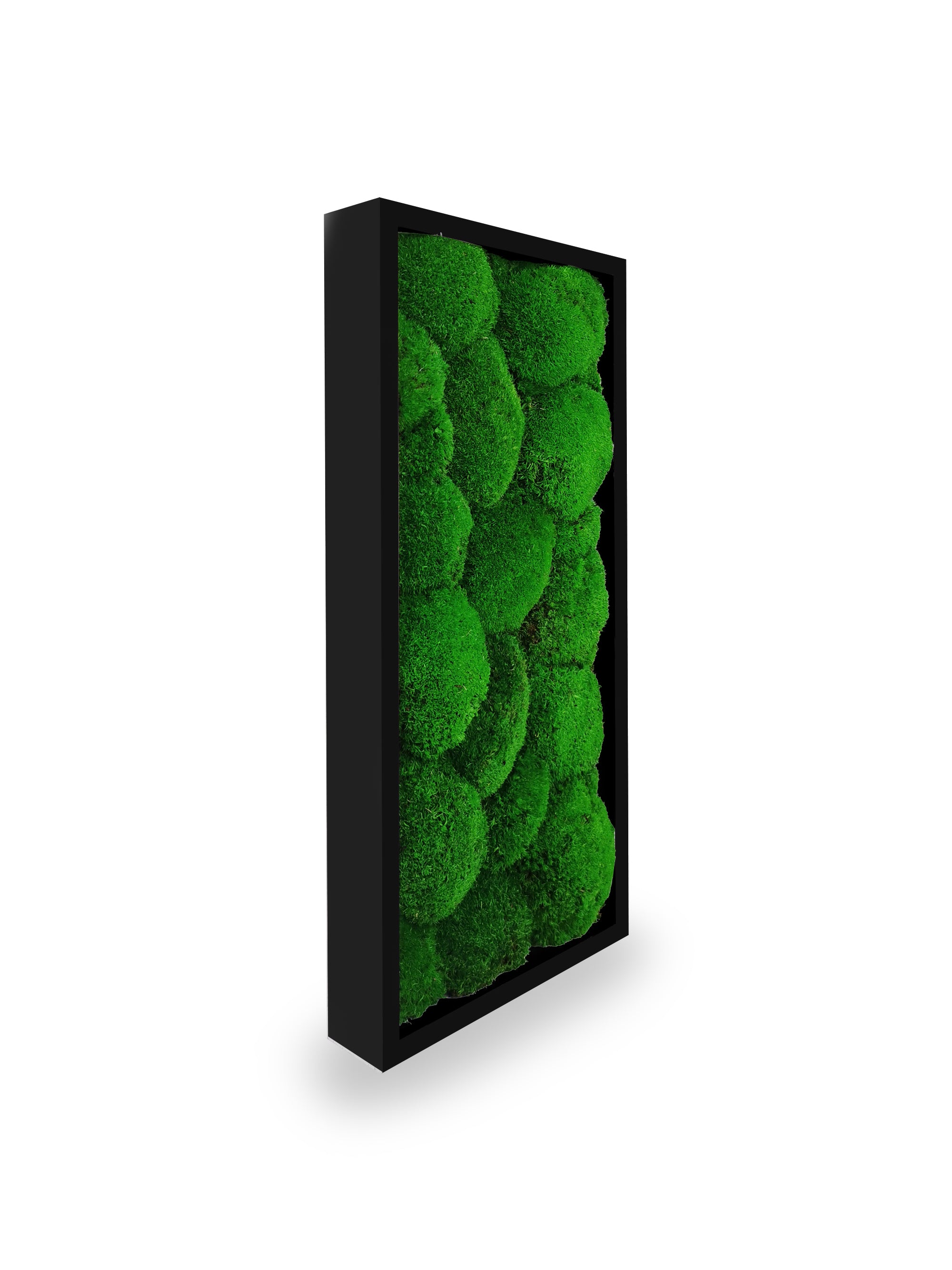 Vue rapprochée tableau végétal stabilisé Sphere 18x38 cm cadre noir - composition mousses boules vertes naturelles - mur végétal moderne épuré sans entretien arrosage lumière