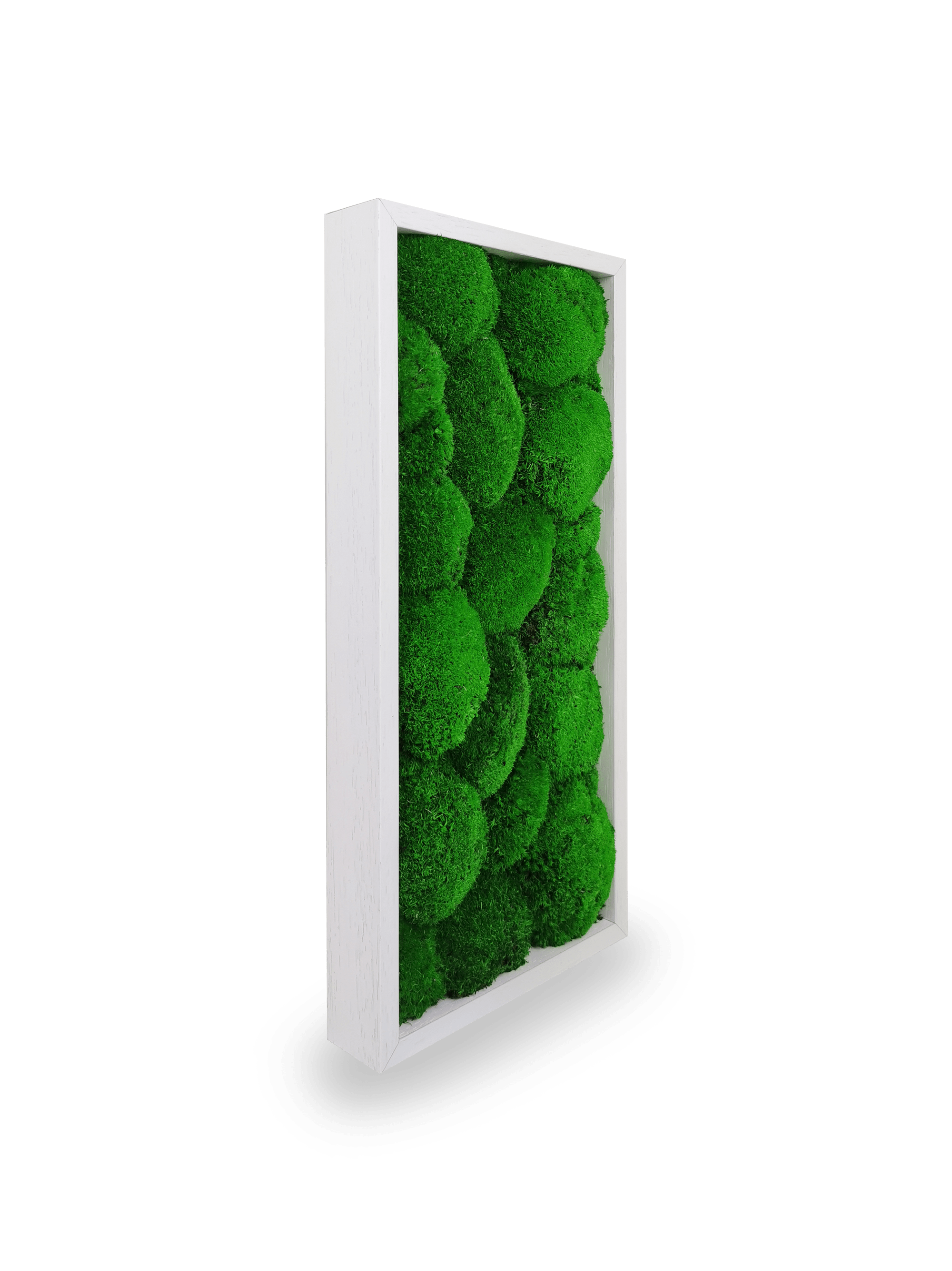 Tableau végétal naturel stabilisé Sphere 18x38