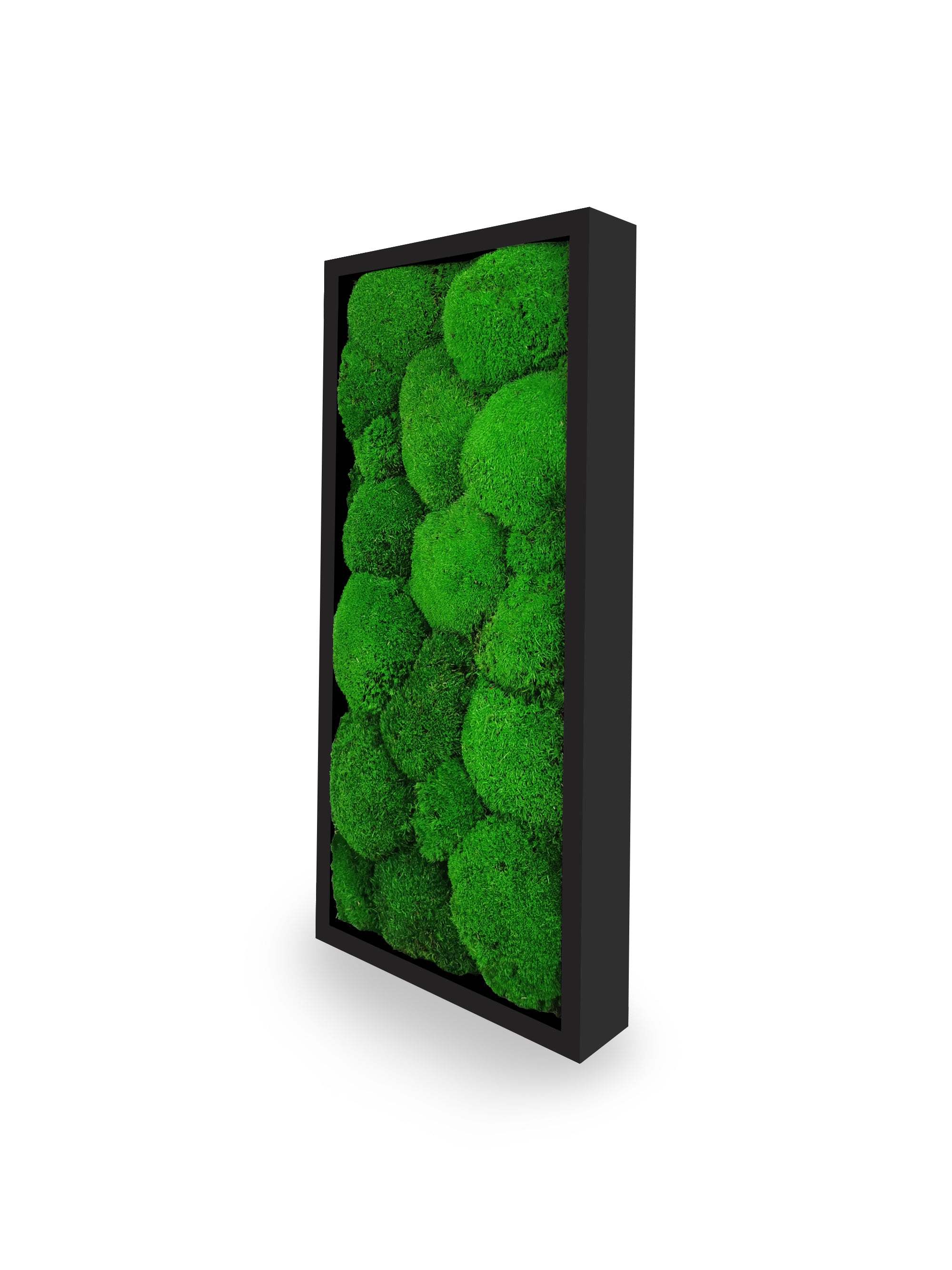 Installation mur tableau végétal stabilisé Sphere 18x38 cm cadre noir - mur végétal design moderne industriel étroit - mousses boules vertes relief 3D sans eau soleil - décoration intérieure tendance France