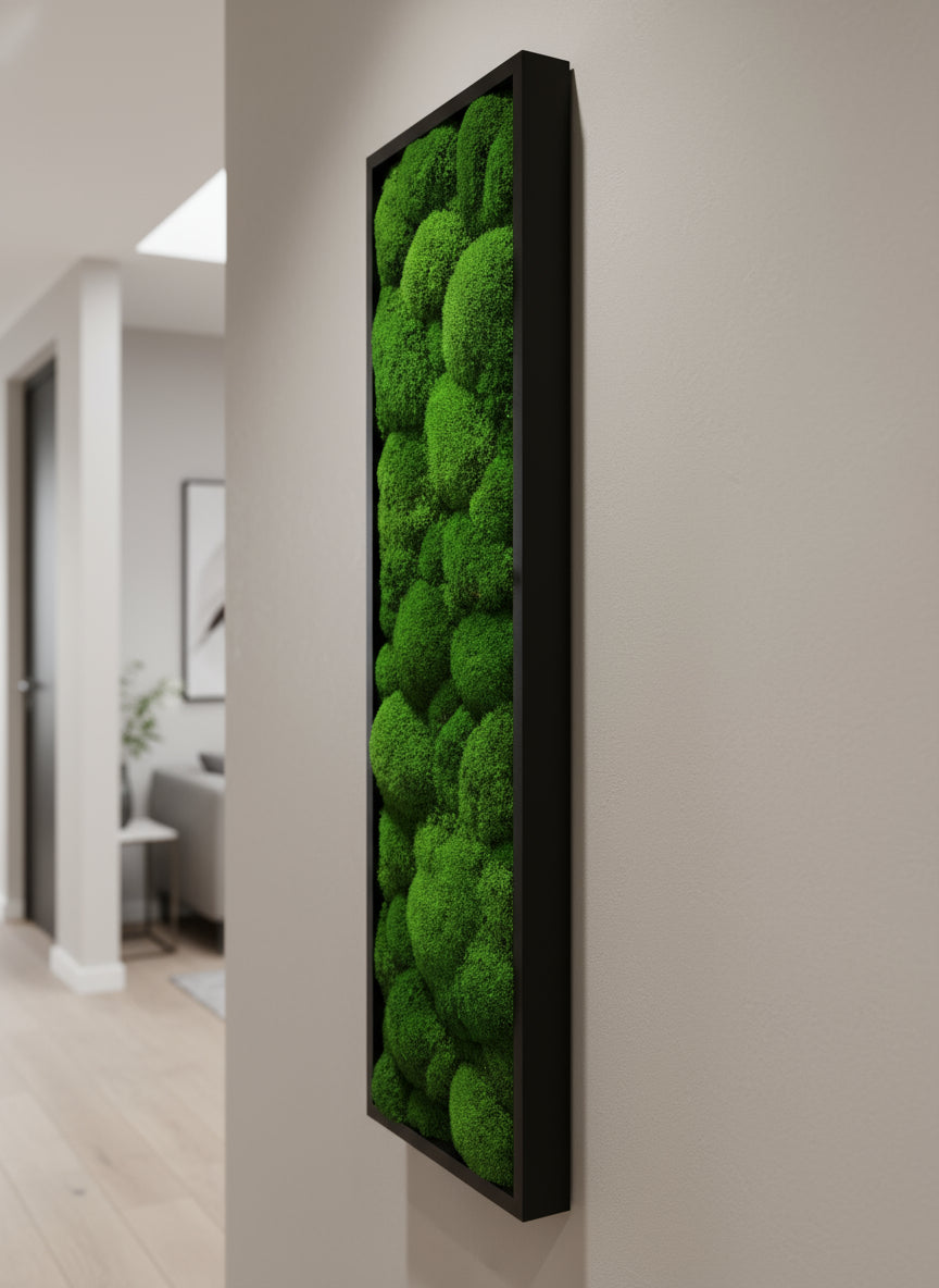 Vue rapprochée tableau végétal stabilisé Sphere 20x70 cm cadre noir - composition mousses boules vertes naturelles - mur végétal moderne épuré sans entretien arrosage lumière