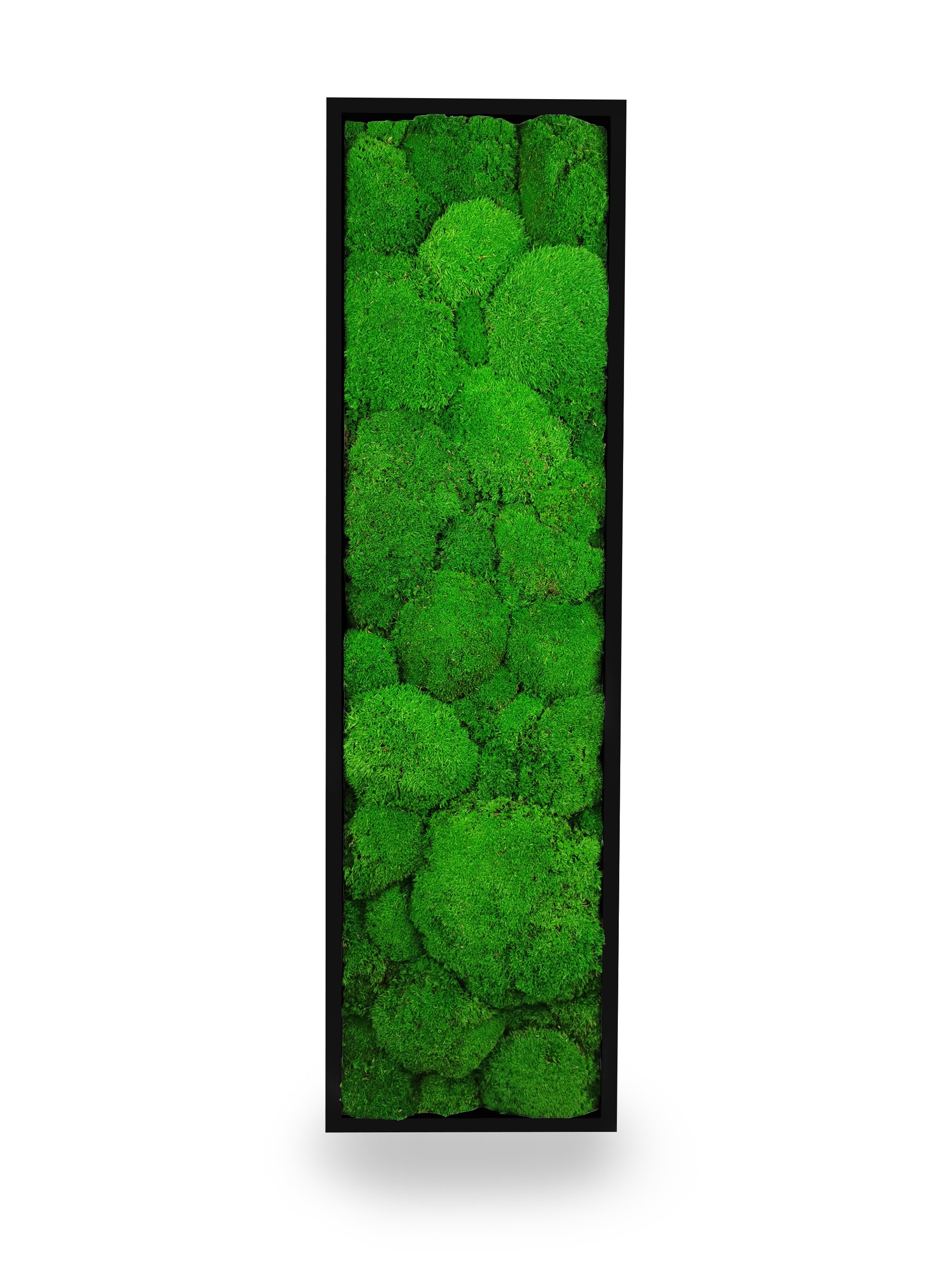 Installation mur tableau végétal stabilisé Sphere 20x70 cm cadre noir - mur végétal design moderne industriel étroit - mousses boules vertes relief 3D sans eau soleil - décoration intérieure tendance France