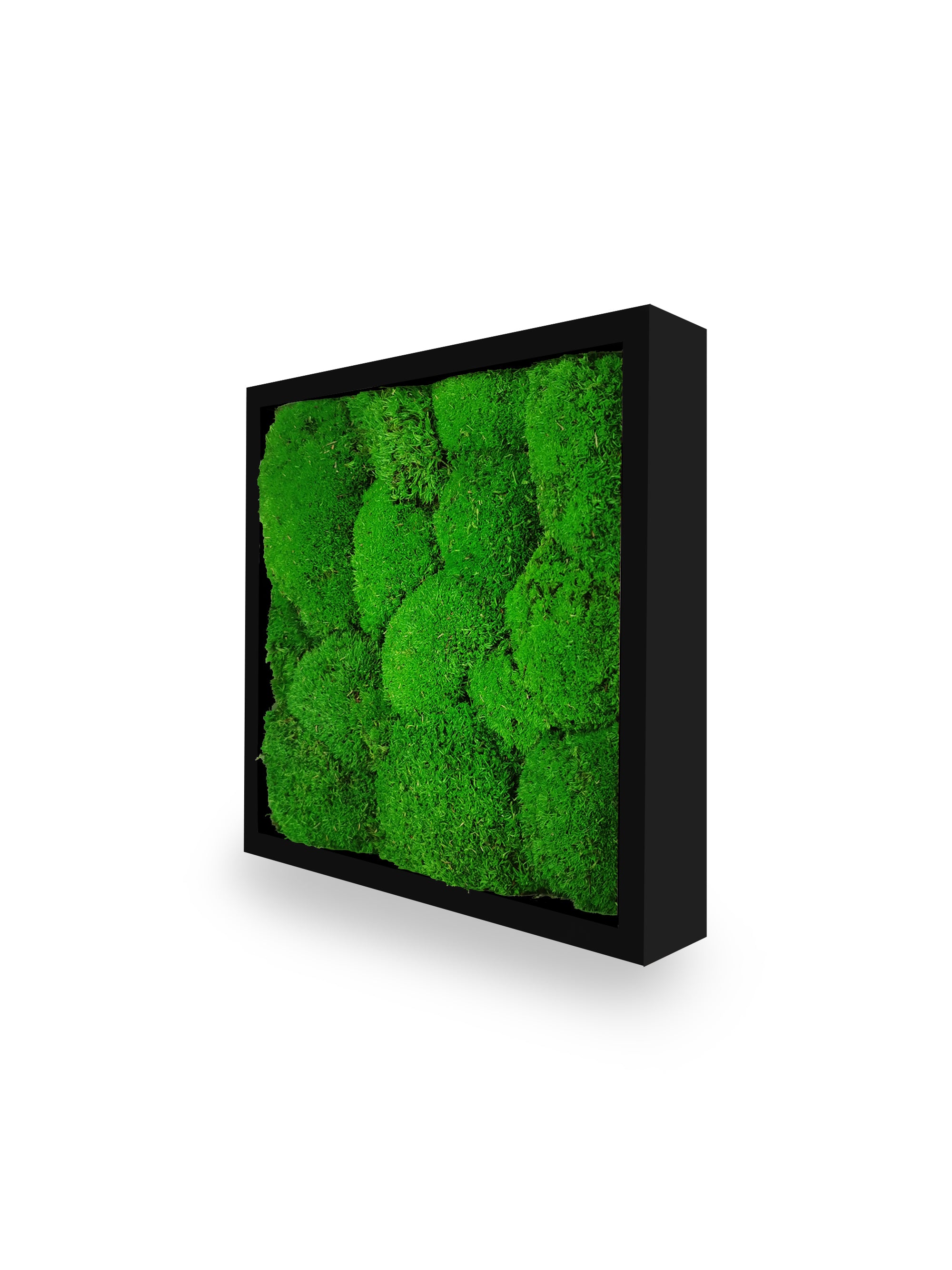 Tableau végétal naturel stabilisé Sphere 22x22