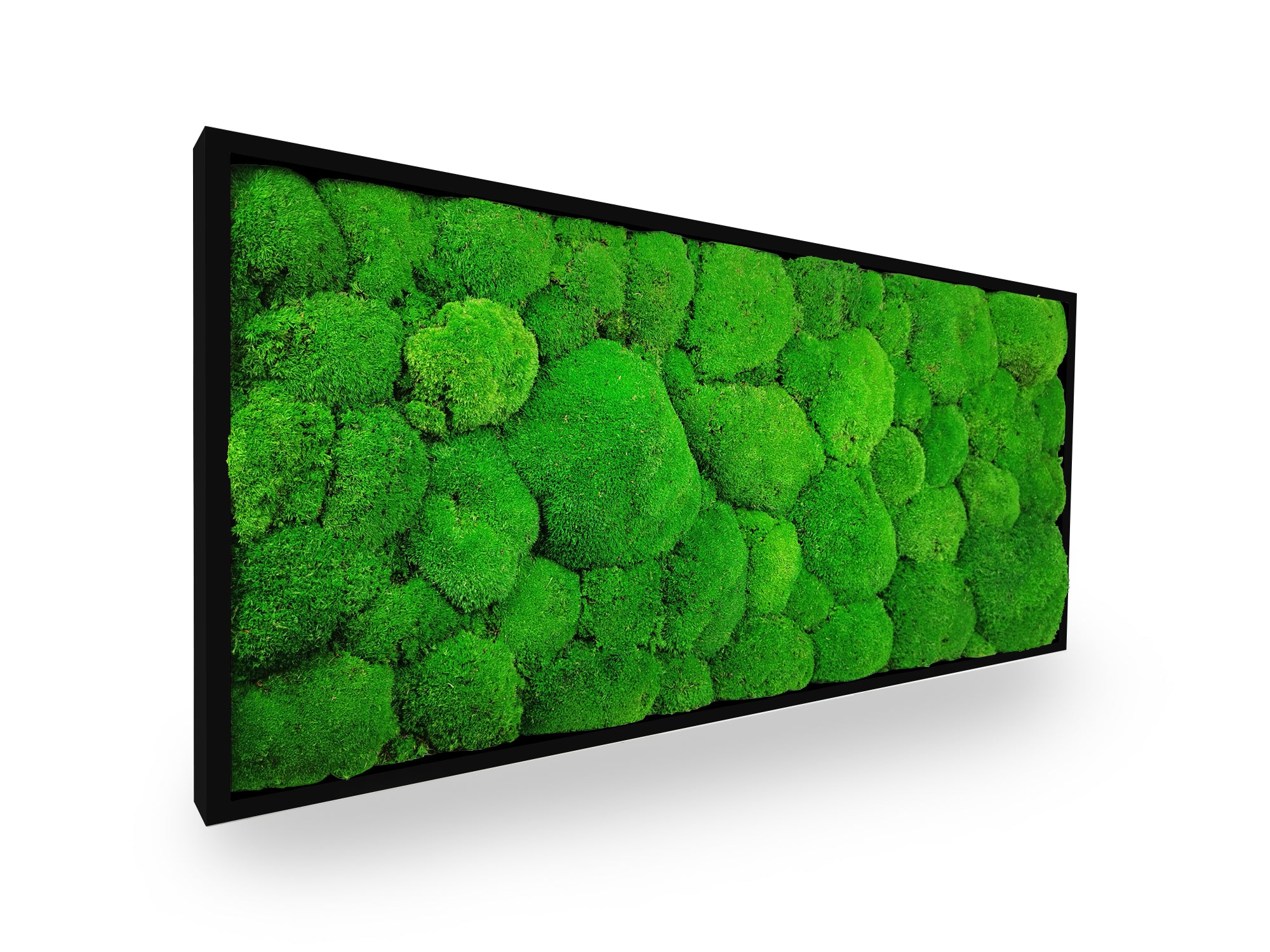 Tableau végétal stabilisé Sphere 34x74 cm cadre noir mat moderne - mousses boules vertes naturelles relief 3D - mur végétal design contemporain industriel sans entretien