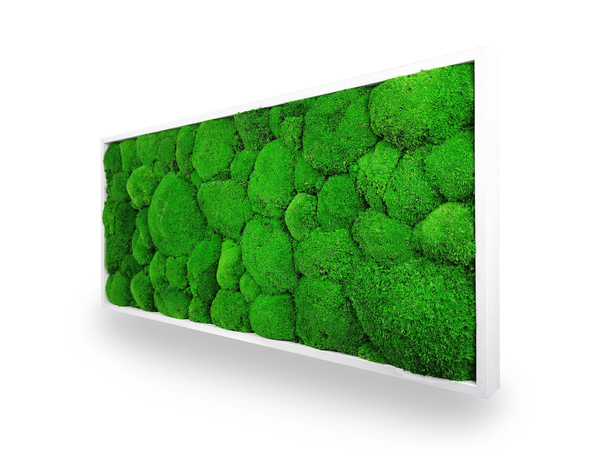 Tableau végétal naturel stabilisé Sphere 34x74