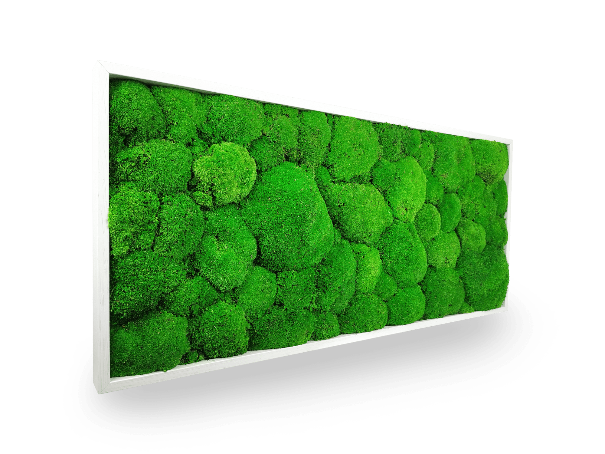 Tableau végétal naturel stabilisé Sphere 34x74 cm - composition mousses boules vertes acidulées relief sphérique - jardin vertical intérieur sans eau lumière - décoration murale nature tendance 2025 France