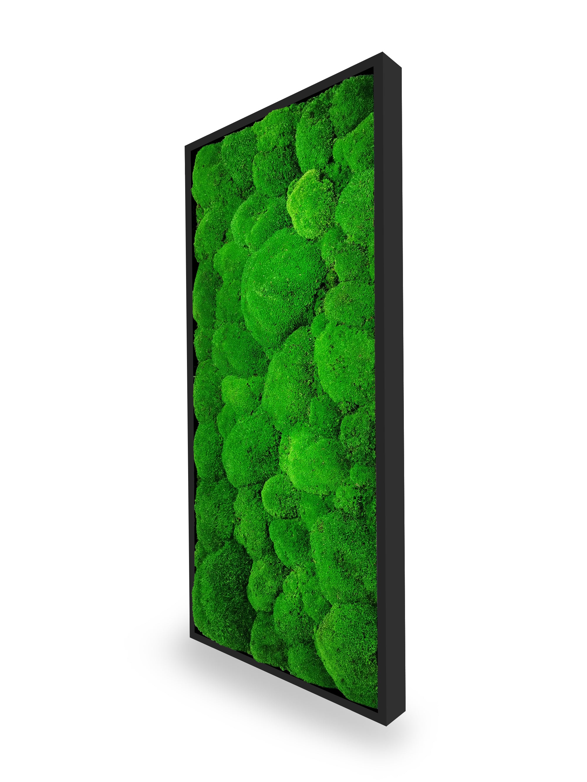 Installation mur tableau végétal stabilisé Sphere 34x74 cm cadre noir - mur végétal design moderne industriel - mousses boules vertes relief 3D sans eau soleil - décoration intérieure tendance France