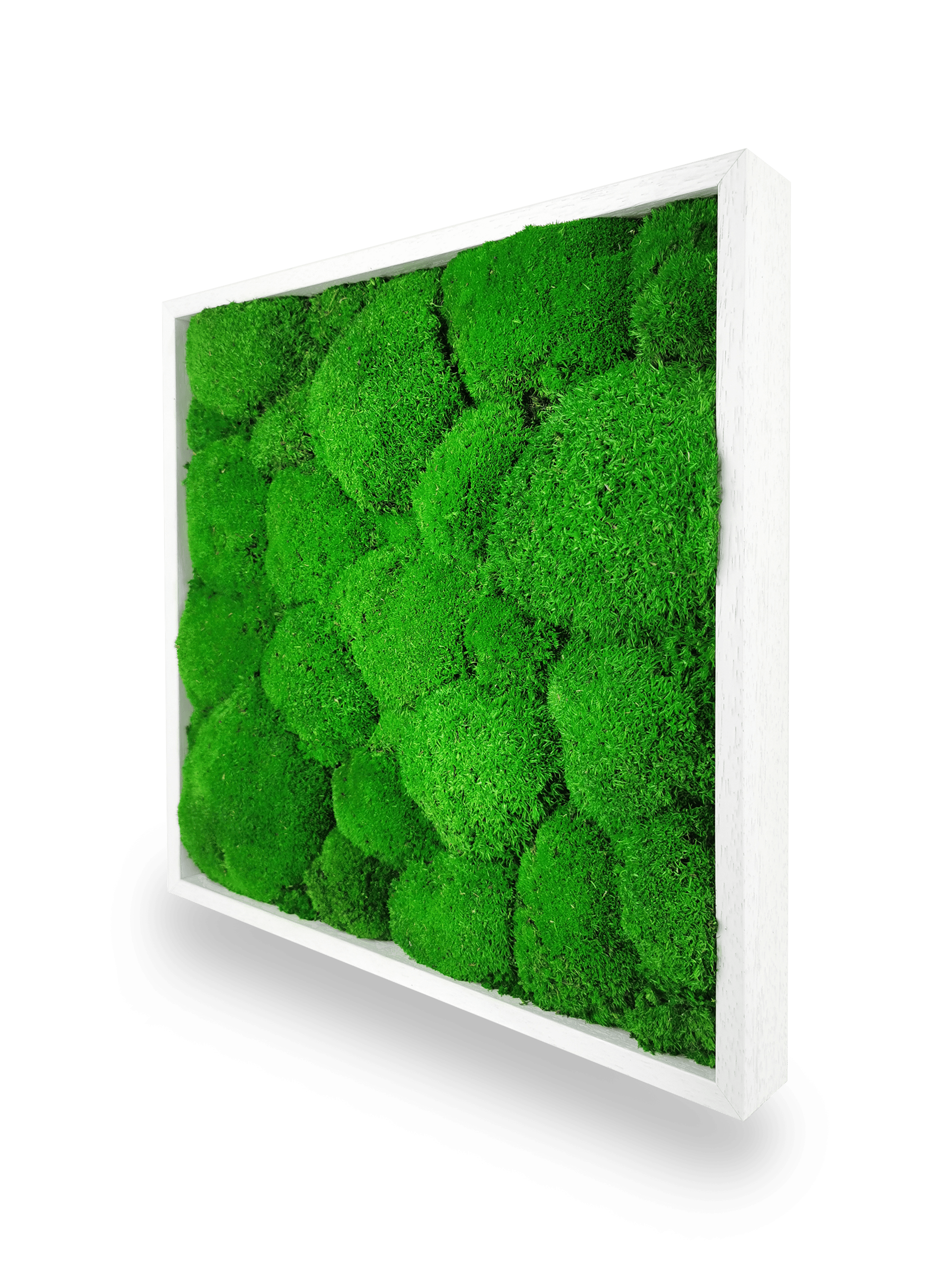 Stabilisiertes Naturpflanzenbild Kugel 35x35