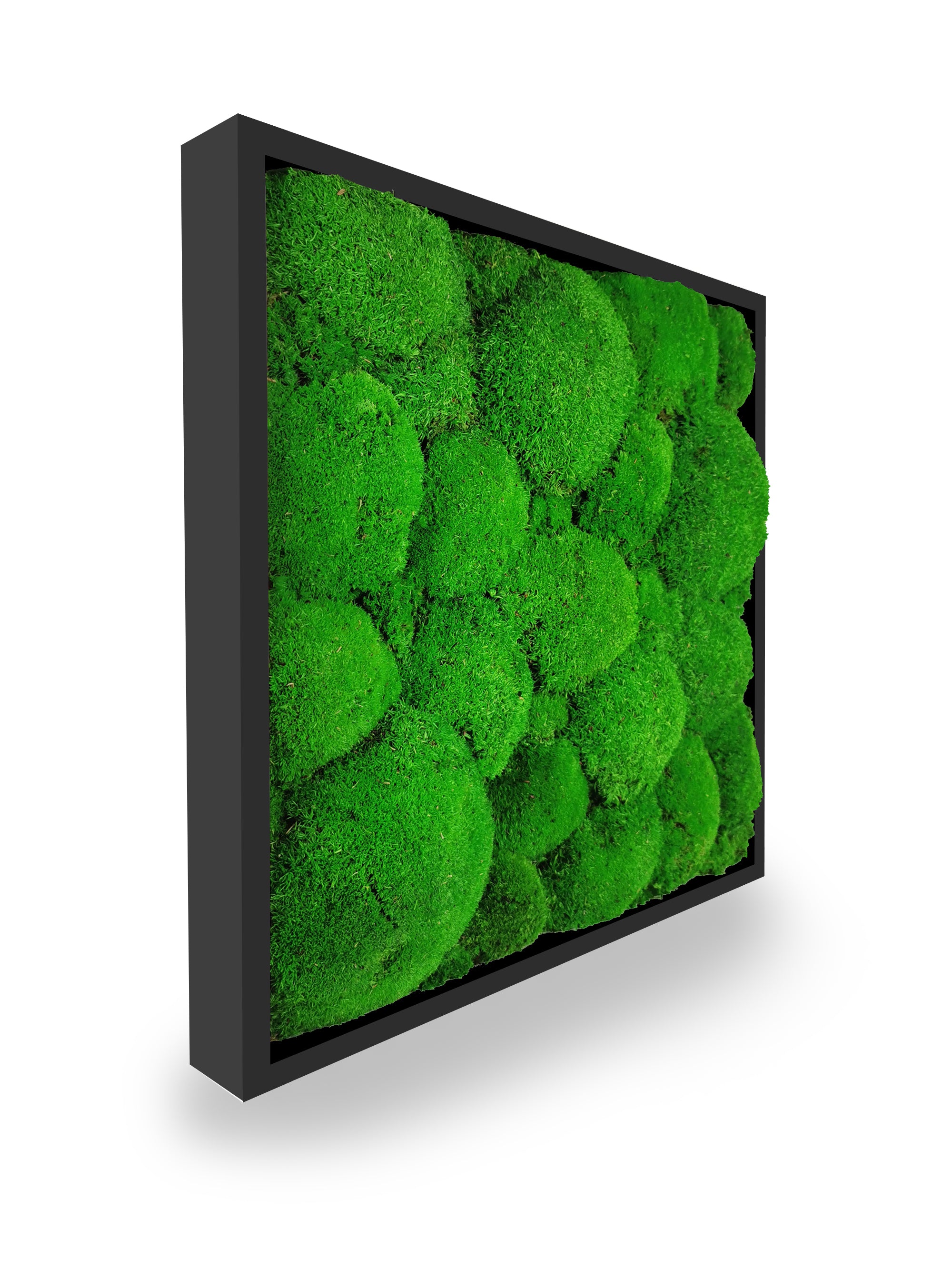 Stabilisiertes Naturpflanzenbild Kugel 35x35