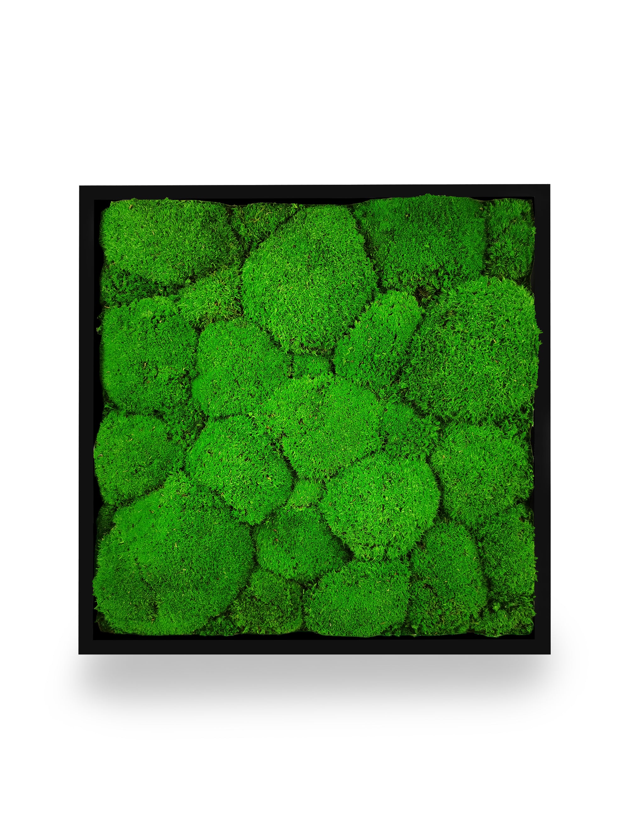 Stabilisiertes Naturpflanzenbild Kugel 35x35