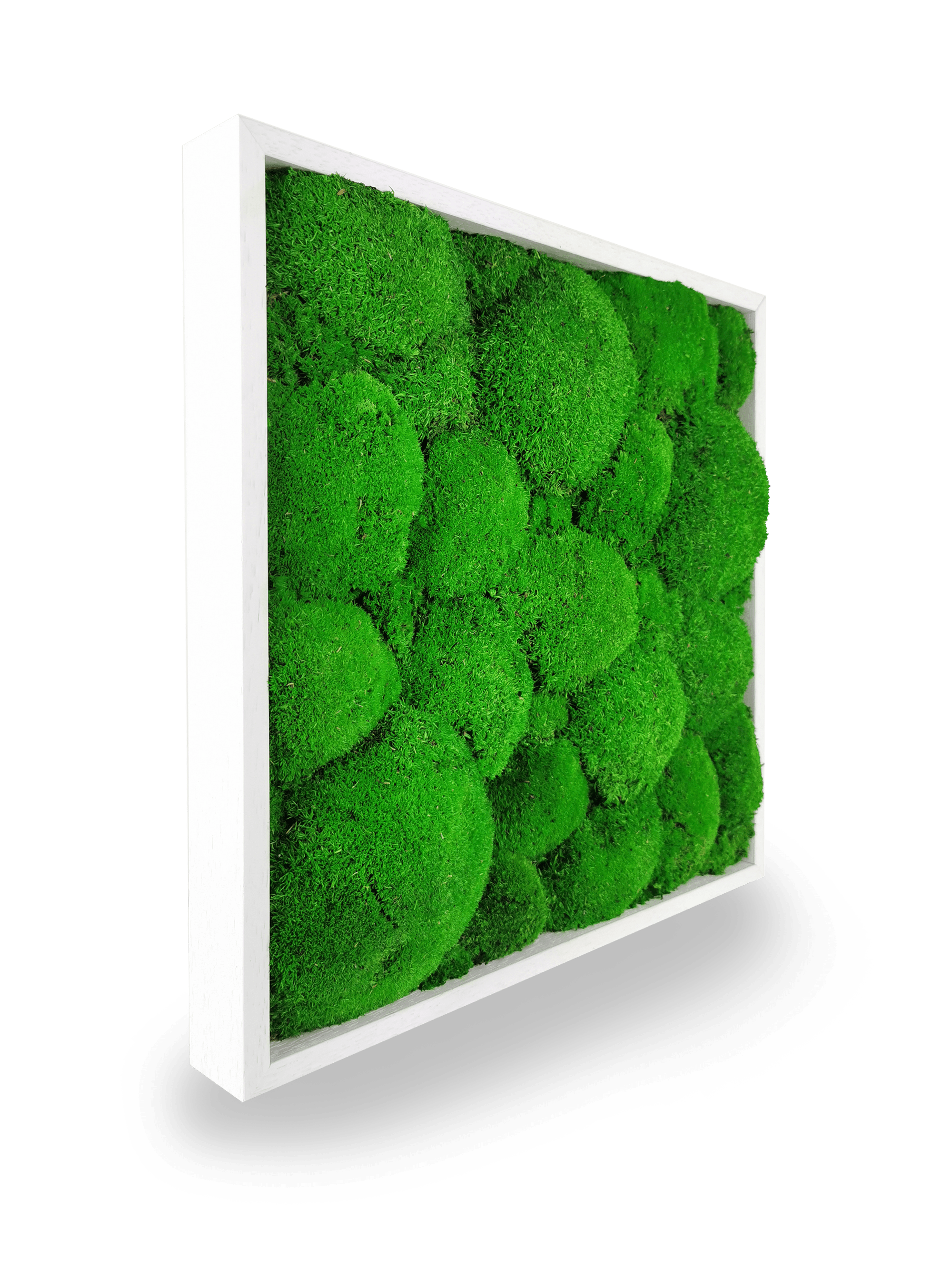 Stabilisiertes Naturpflanzenbild Kugel 35x35