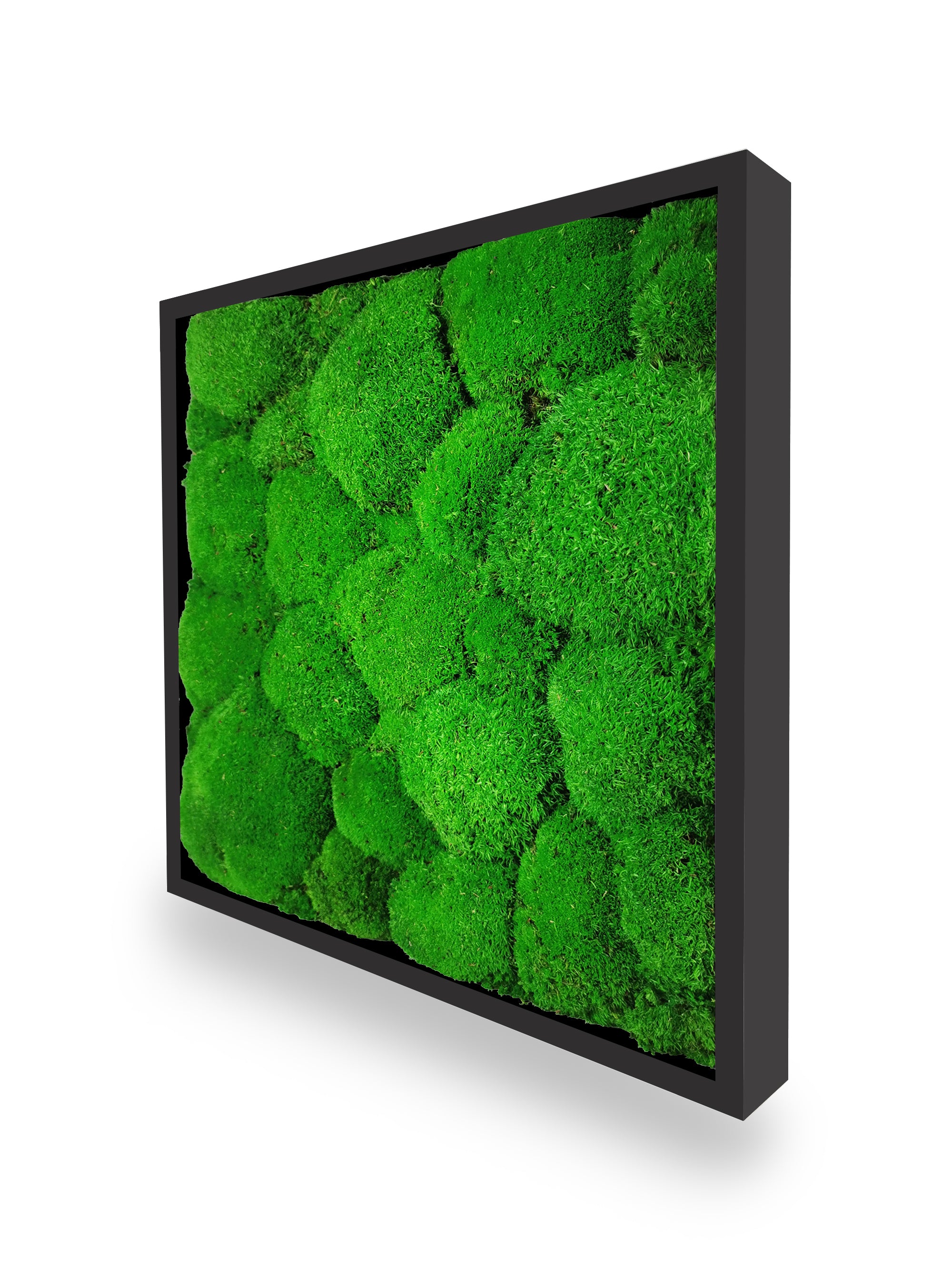 Stabilisiertes Naturpflanzenbild Kugel 35x35